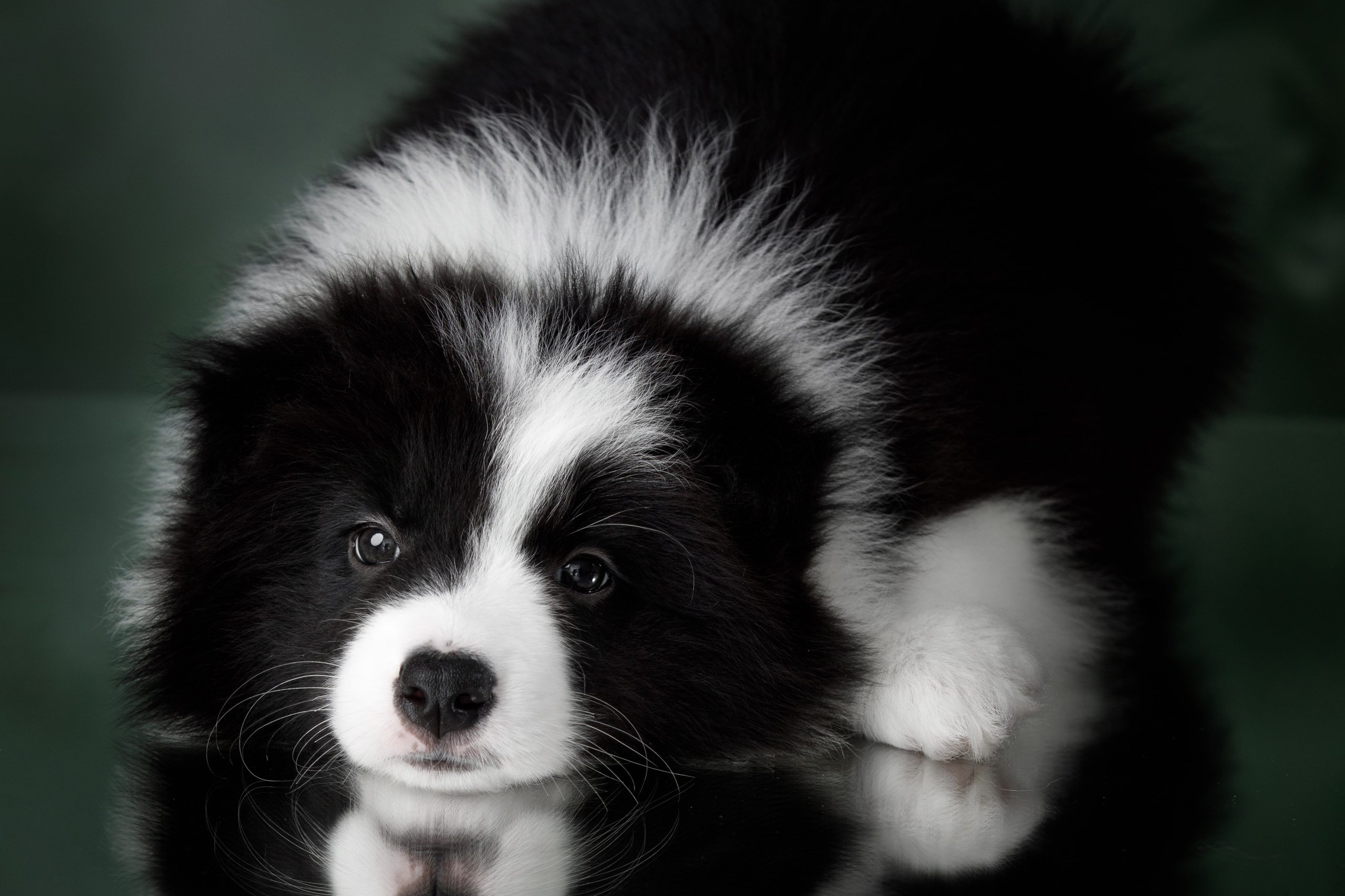 Март. Весна. 22. О нас