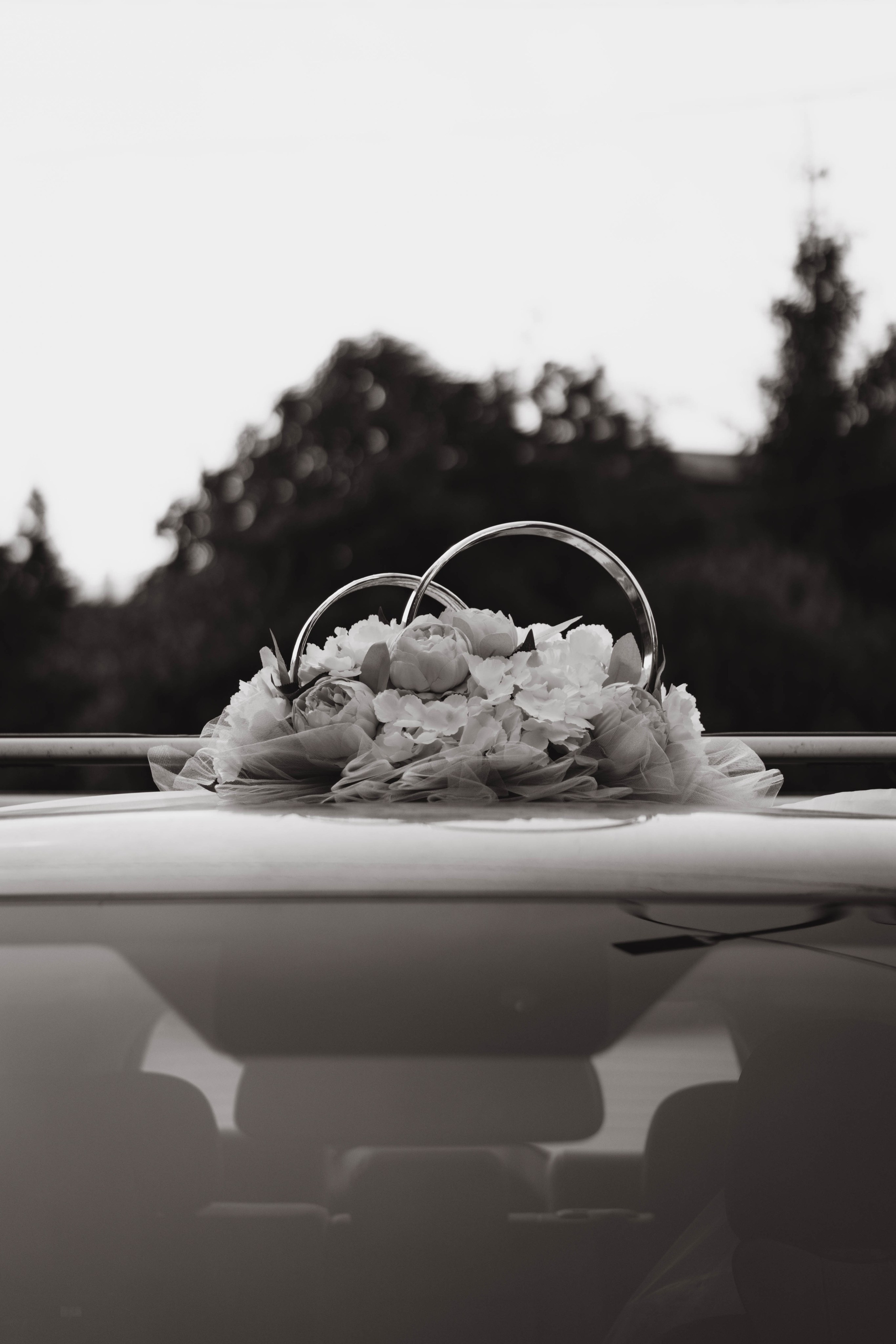 Поликарп и Антонина. Фотограф Москва Валерия Веденина