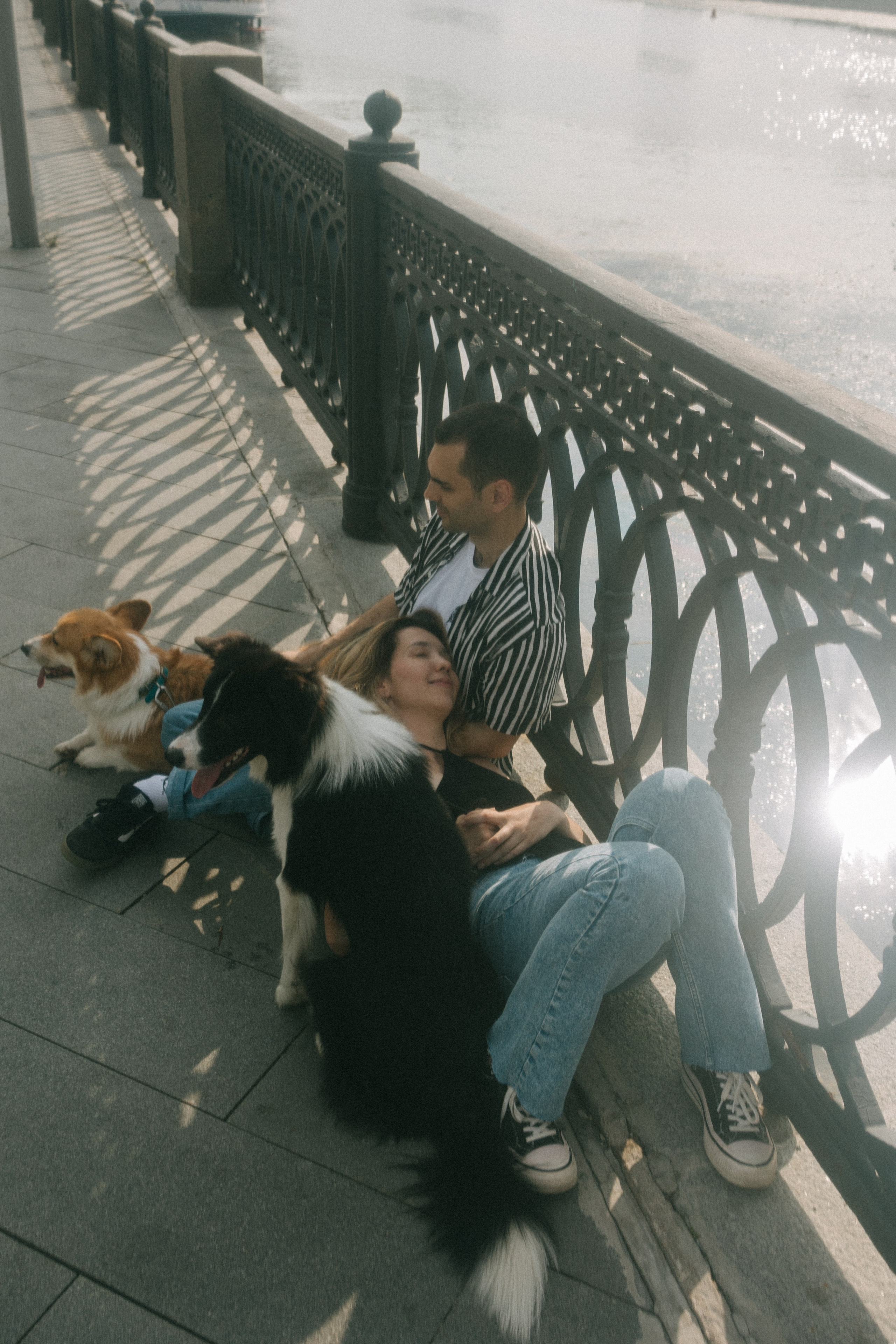 Брюс, Вейв и их ро. Фотораф — анималист Мария Шистка