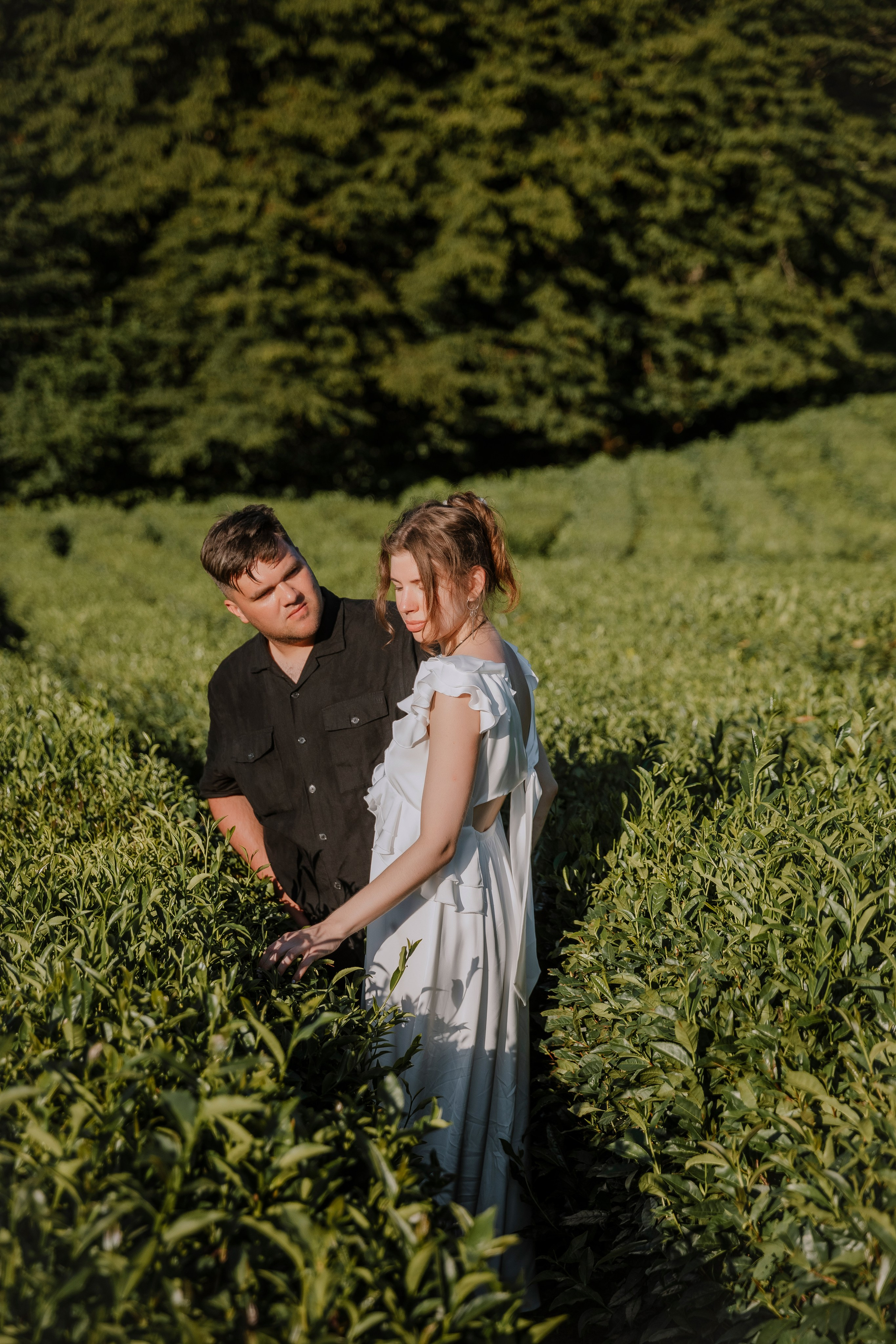 Плантации. Семейный фотограф Якимова Полина в Сочи