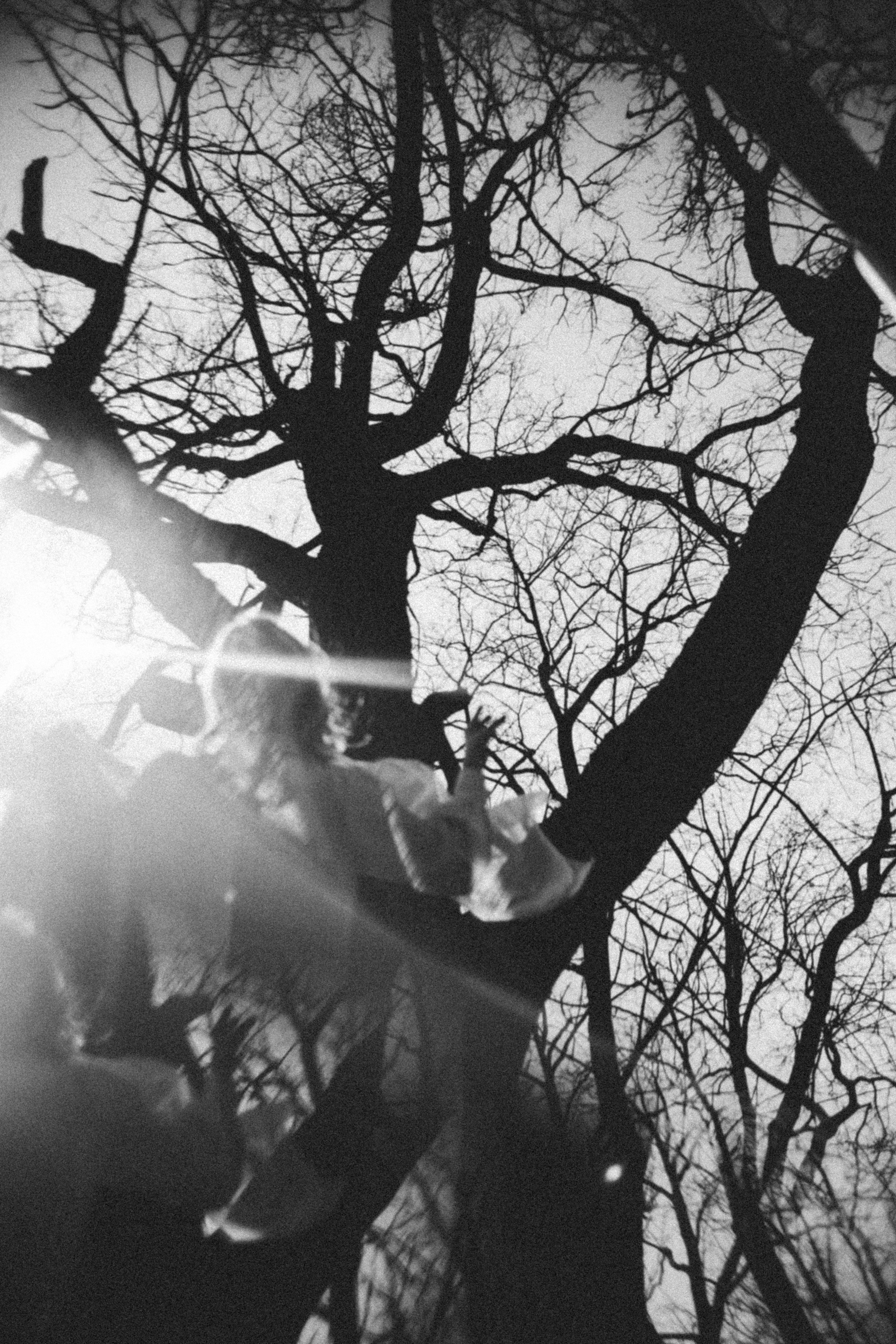 Арина. Фотограф в Нижнем Новгороде