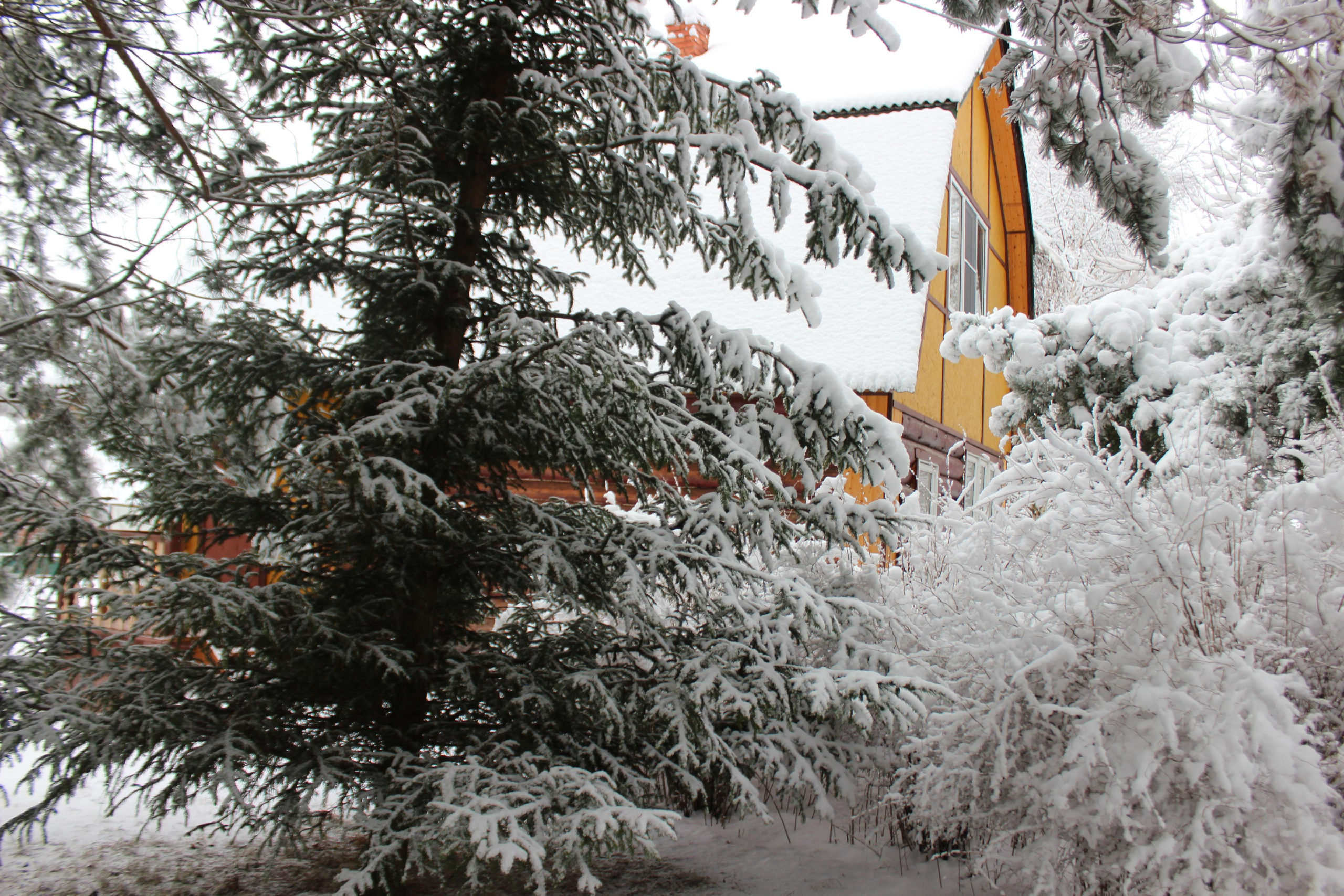 Шалово-парк зима. Оздоровительный комплекс Шалово-парк Серебряные ключи