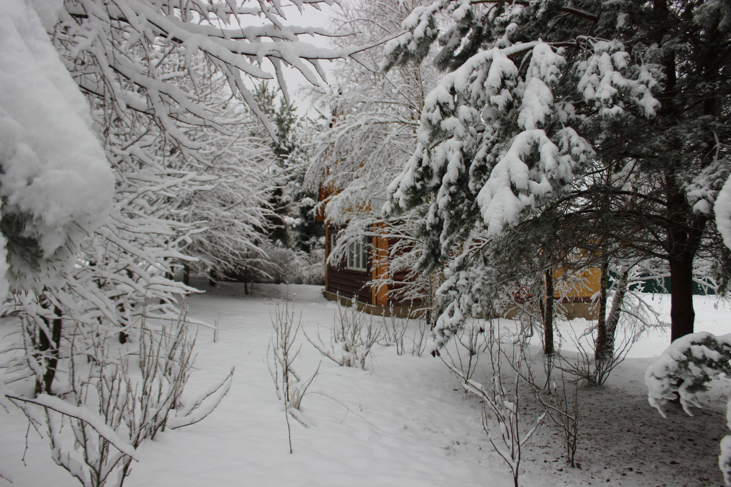 Шалово-парк зима. Оздоровительный комплекс Шалово-парк Серебряные ключи