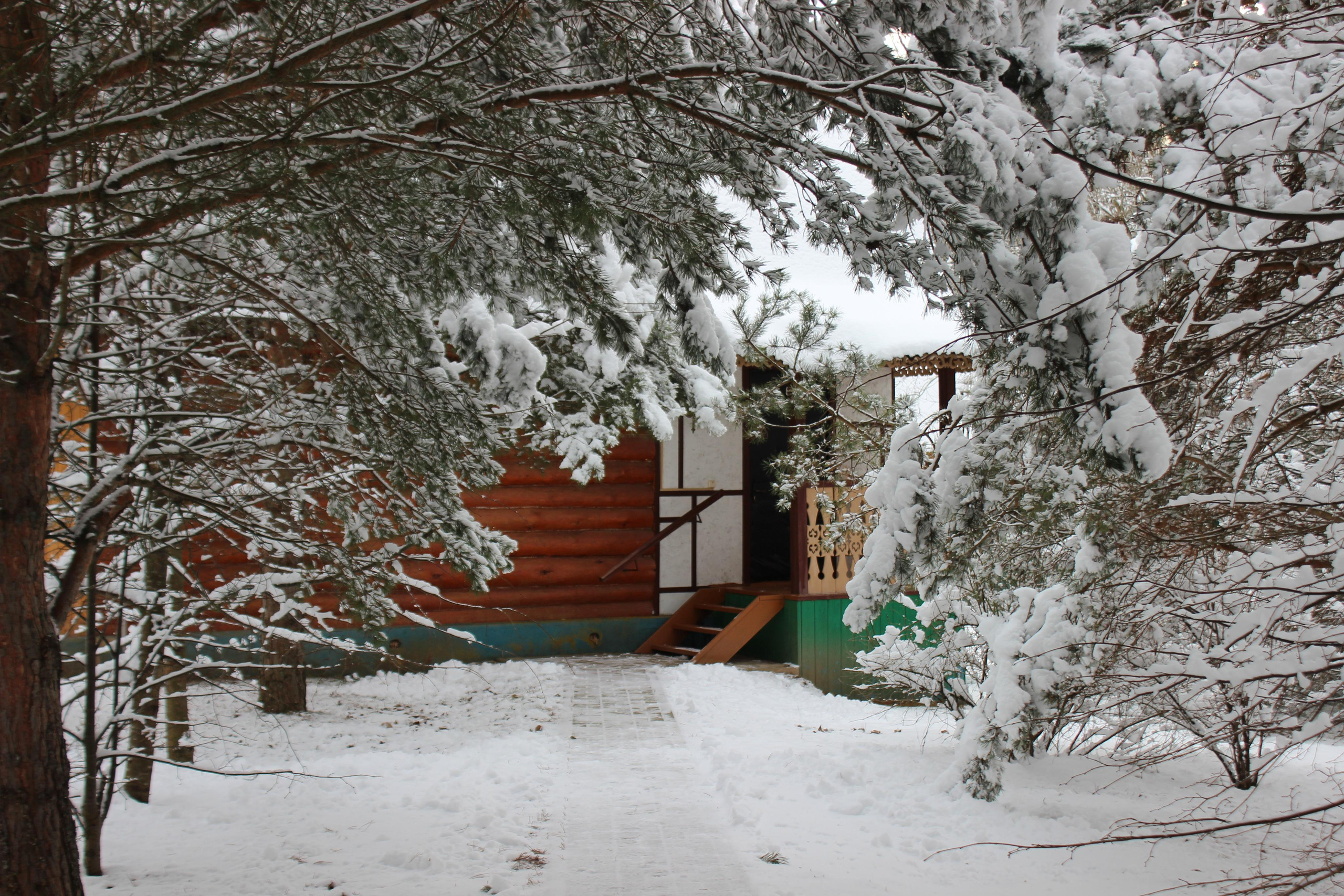 Шалово-парк зима. Оздоровительный комплекс Шалово-парк Серебряные ключи