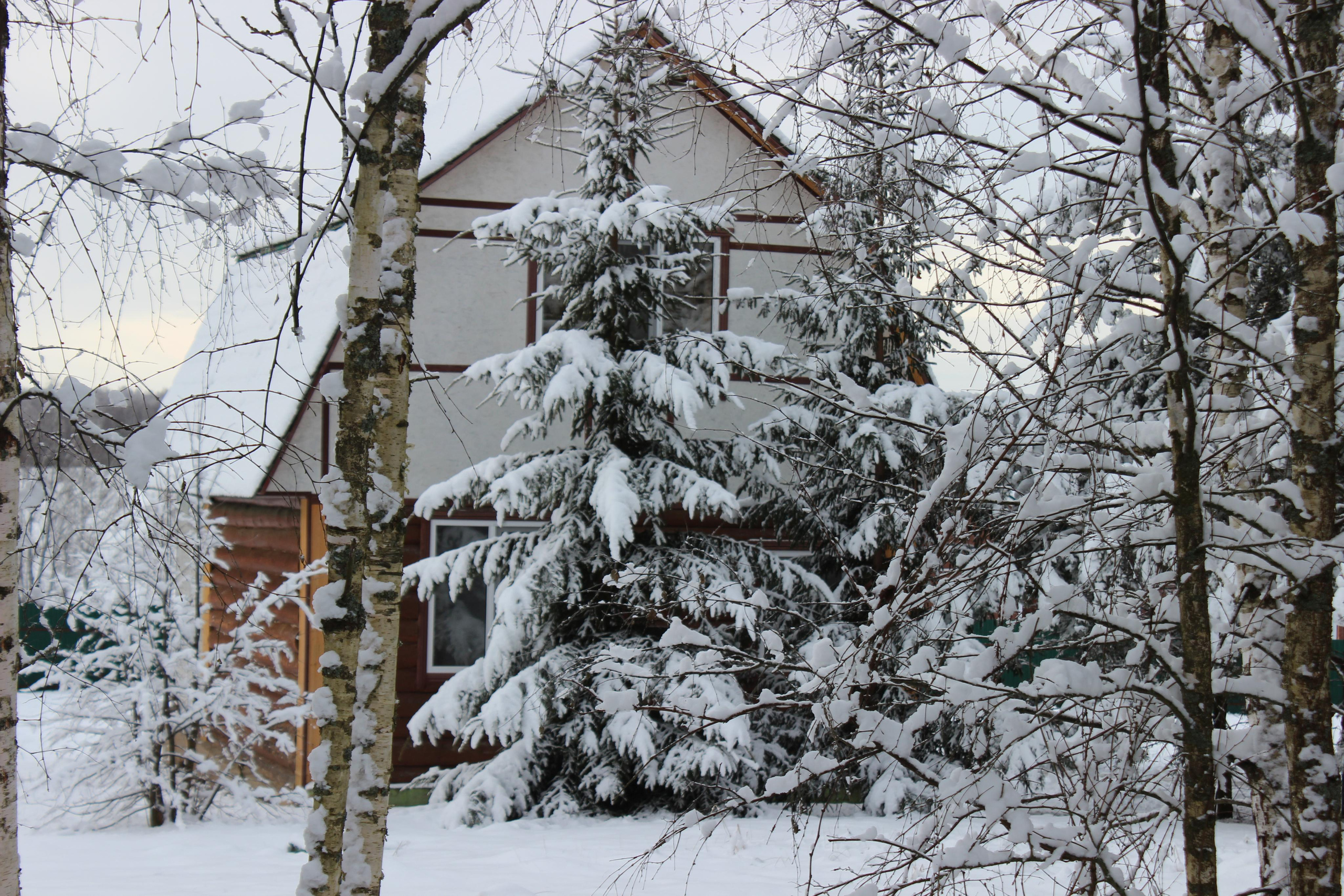 Шалово-парк зима. Оздоровительный комплекс Шалово-парк Серебряные ключи