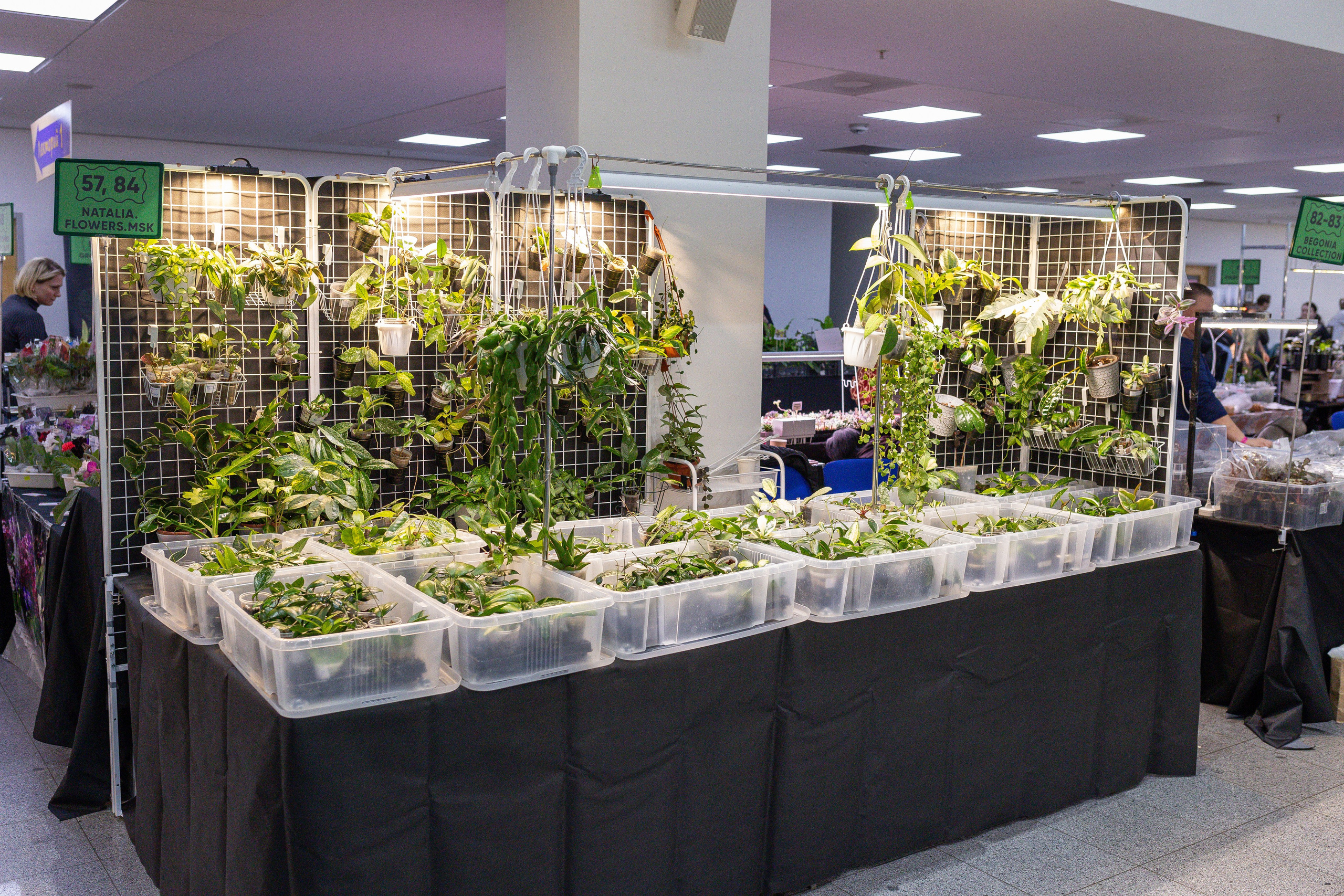 Монстериум апрель 2025. Александра Куликова фотограф, Москва