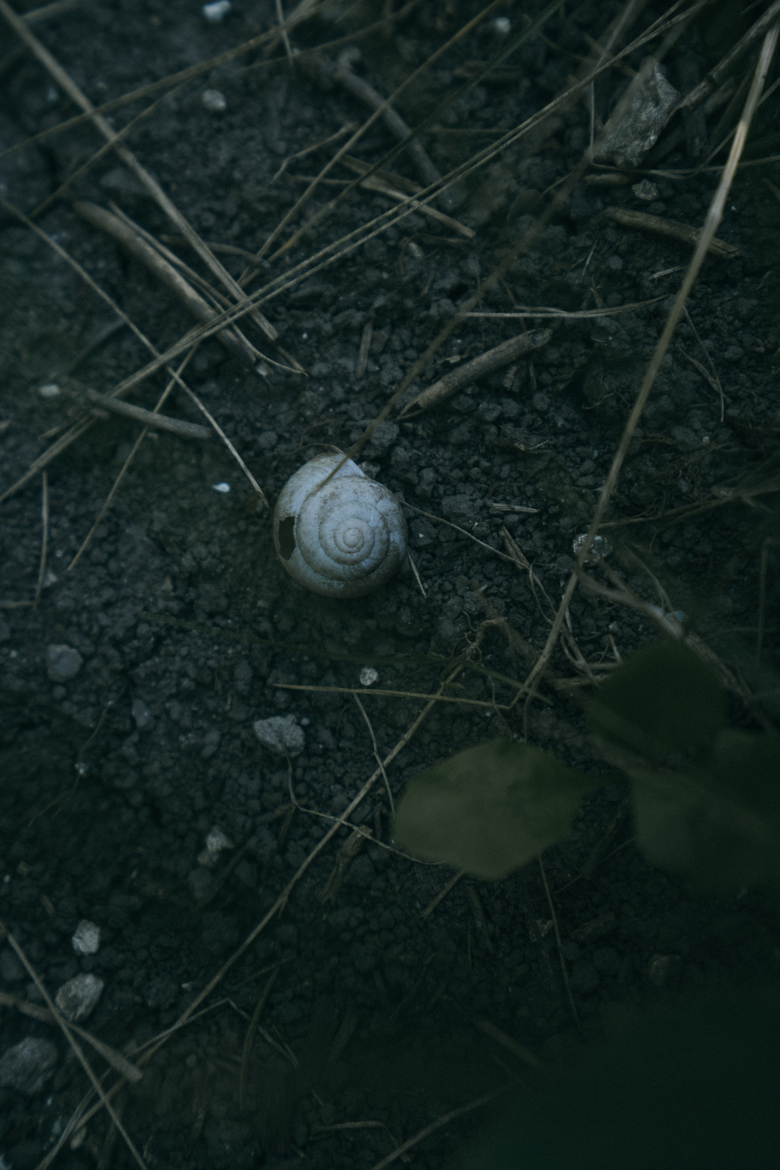 Белгород. Фотограф Алиса Аспер