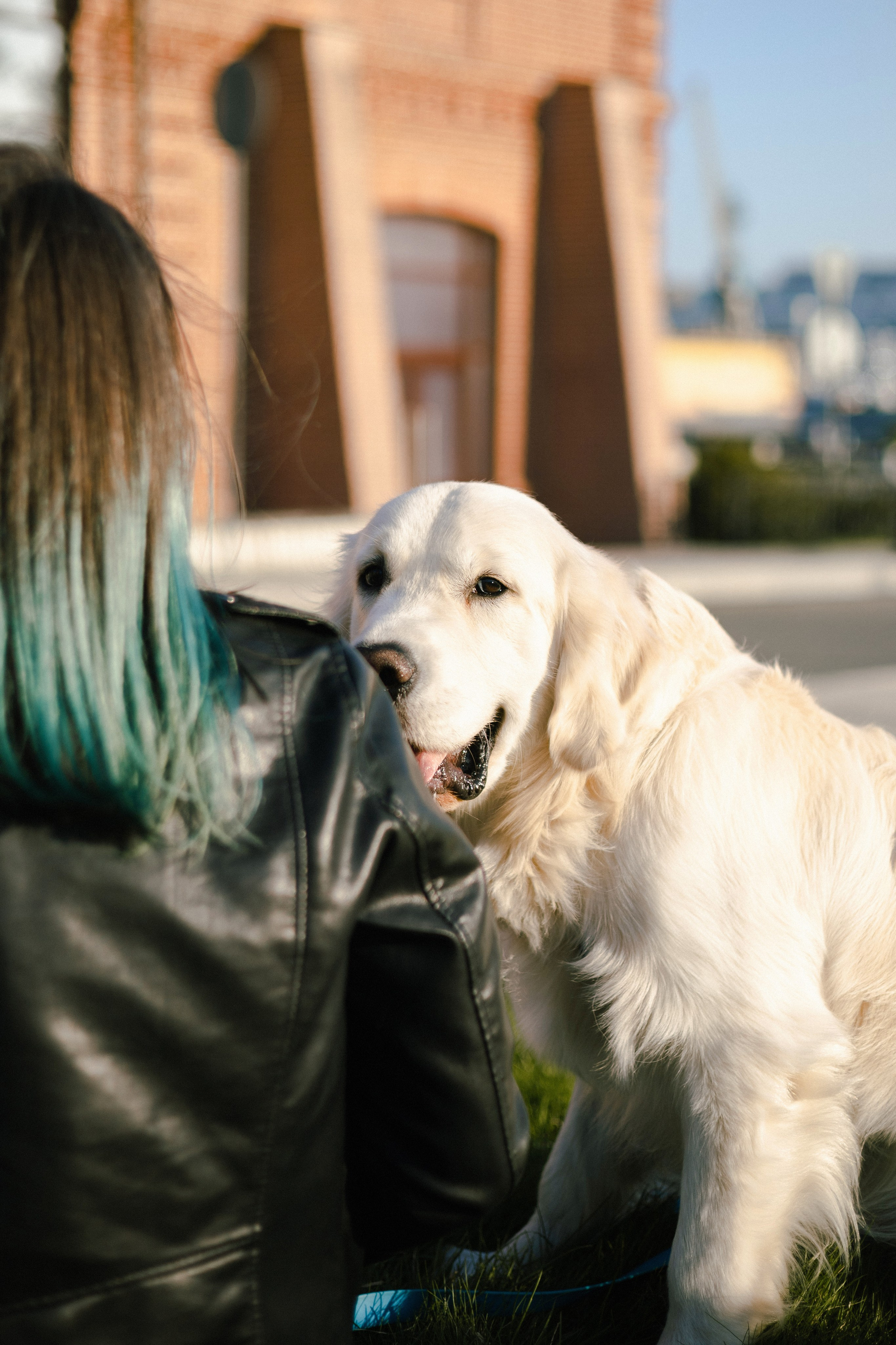 Ира и Байрон. Фотограф — анималист Владивосток, Алина