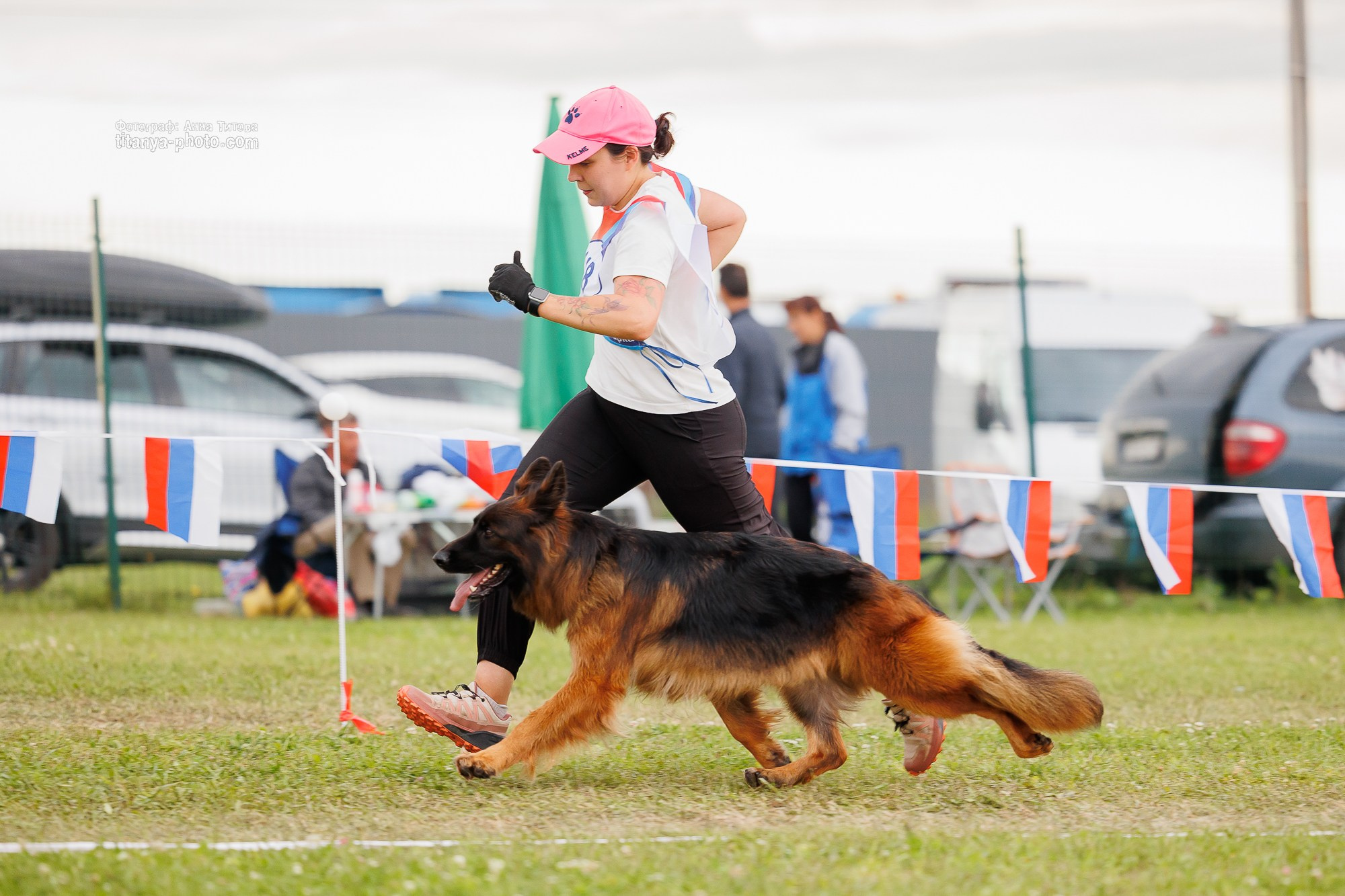 Немецкие овчарки: фото из рингов и вне ринга, мутпроба (фотографии с выставок). Фотограф собак, фотограф-анималист Аня Титова (Titanya). Москва