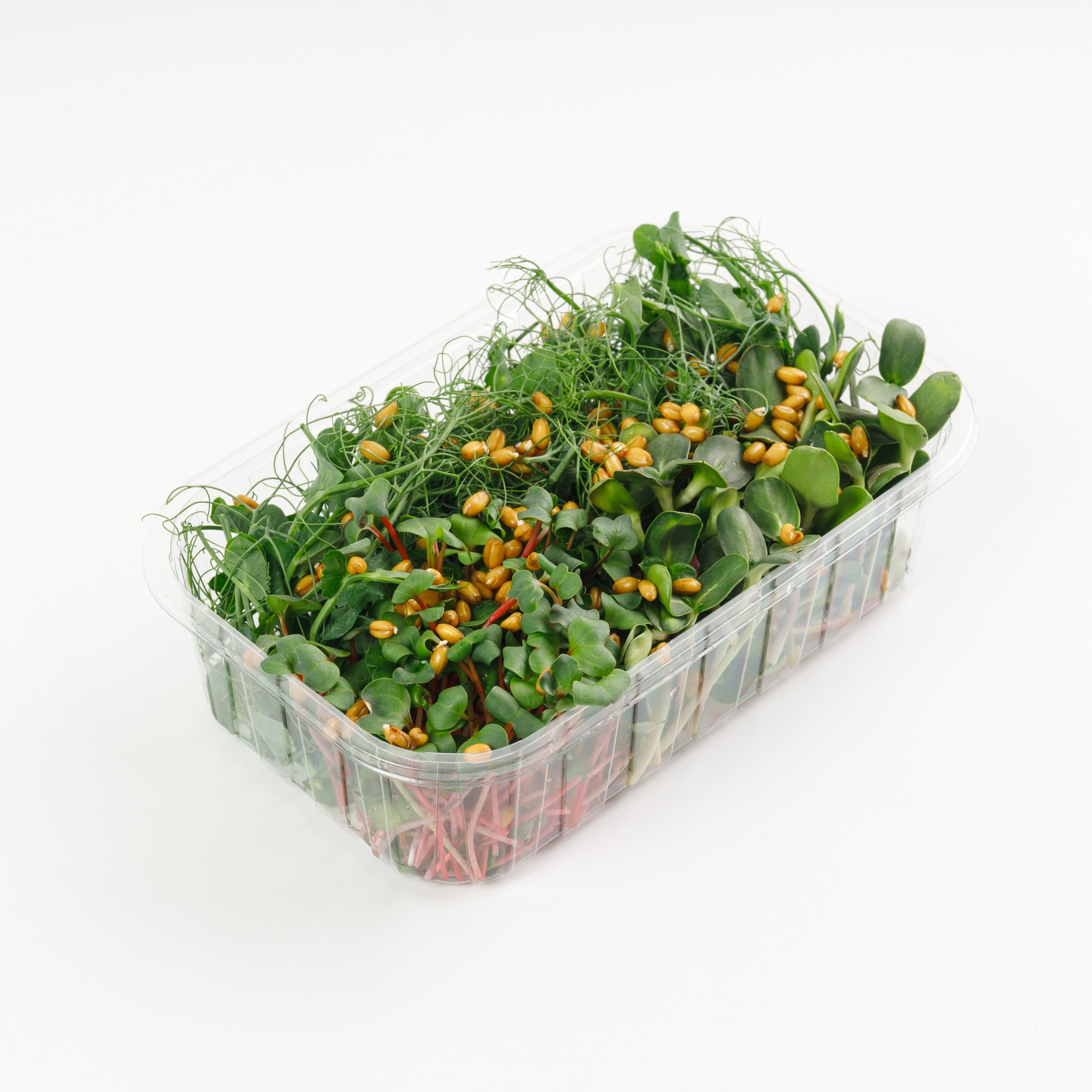 Меню для доставок. Фуд, предметный и фотограф анималист в Нижнем Новгороде Иванов Максим