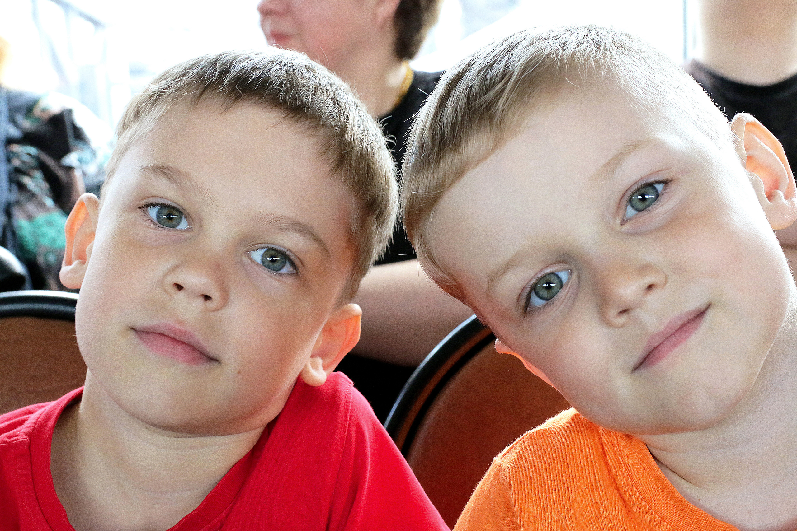 Два мальчика. Два брата