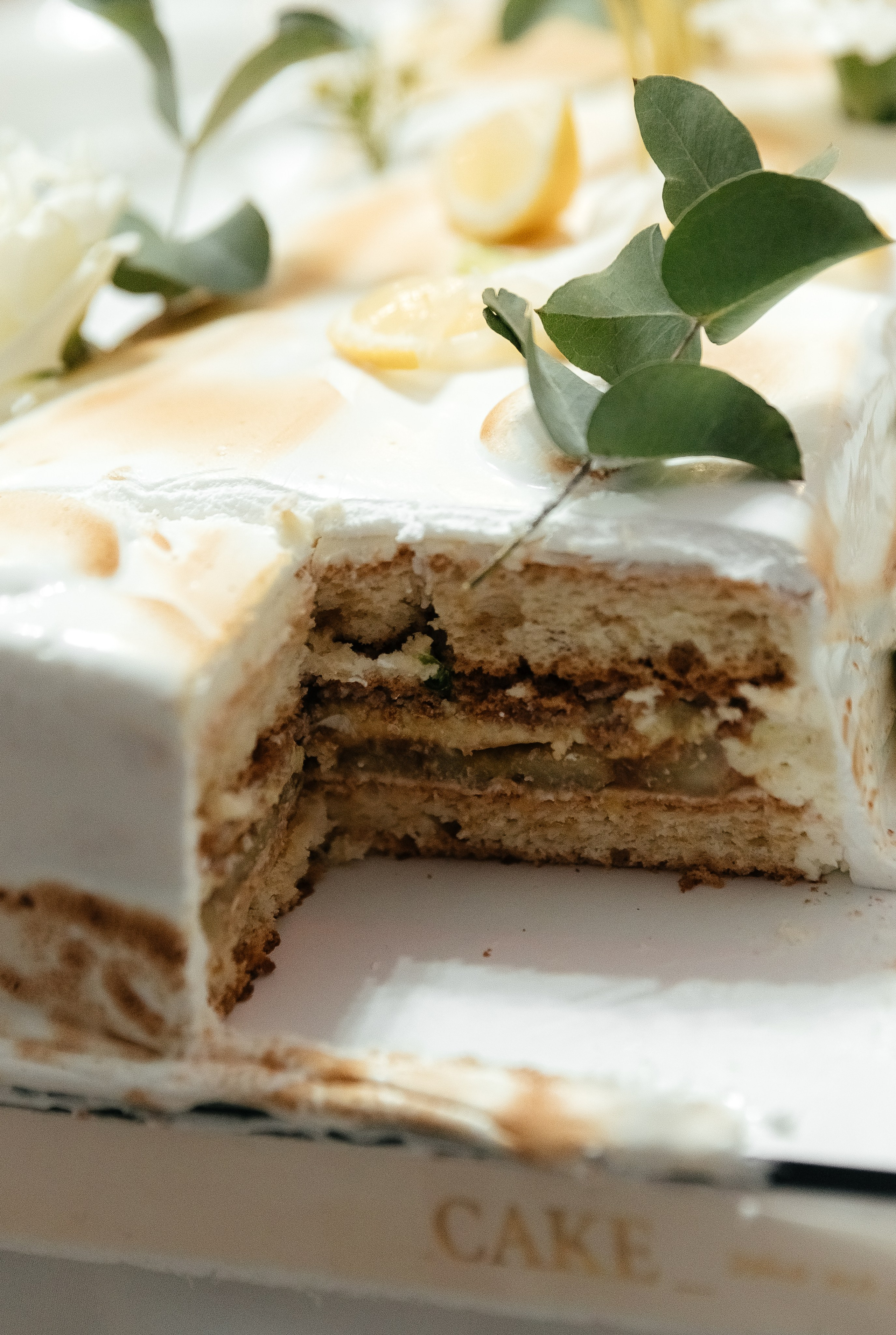 Николай и Валерия. Главная