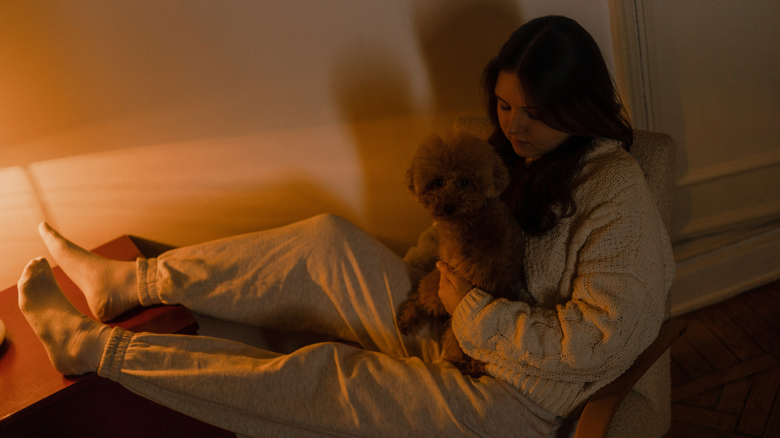 Маша, Одди и Нэвил. Фотограф-анималист Богданова Полина