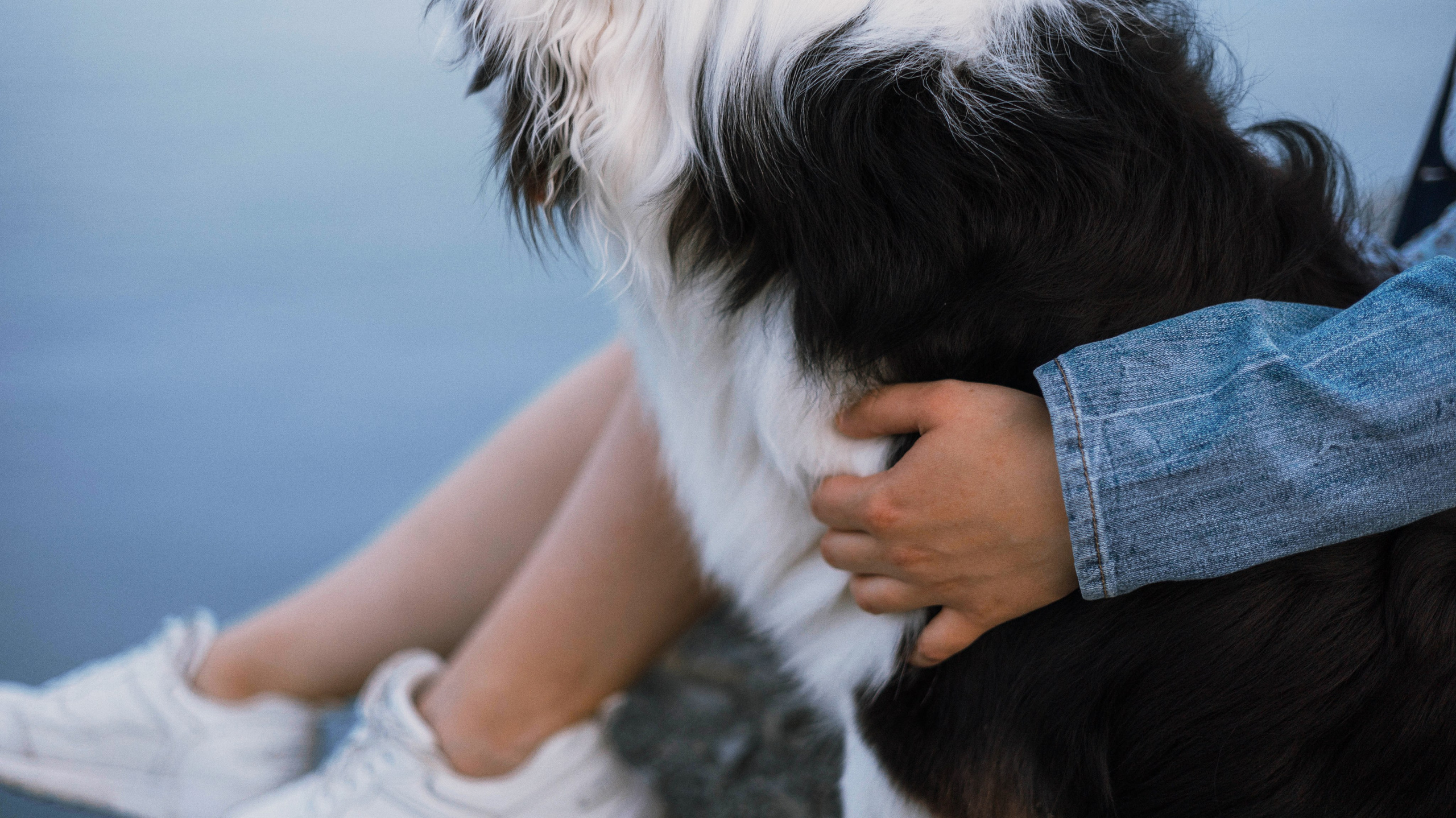 Ира и Джесс. Фотограф-анималист Богданова Полина