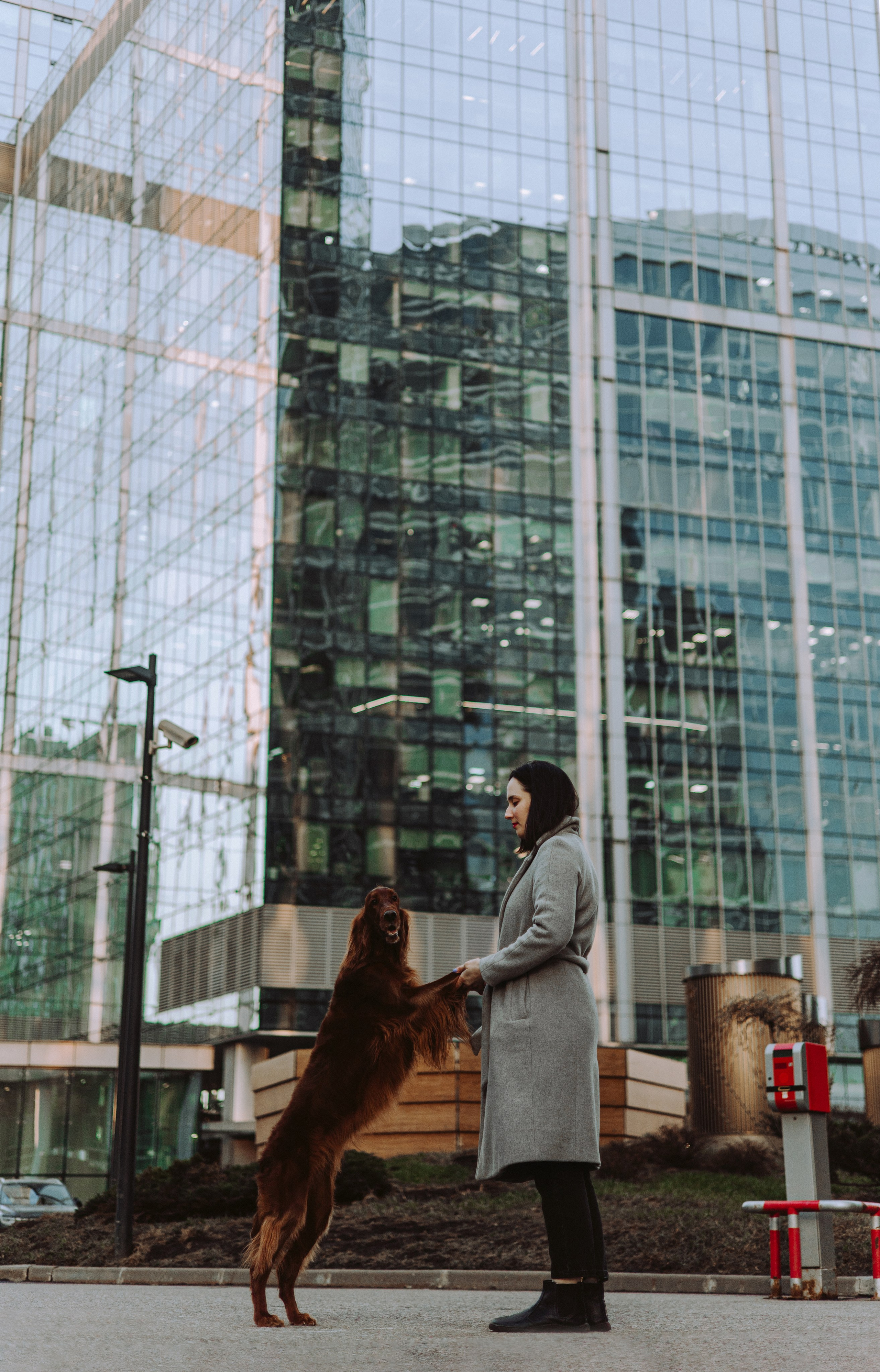 Маша и Лика. Фотограф-анималист Богданова Полина