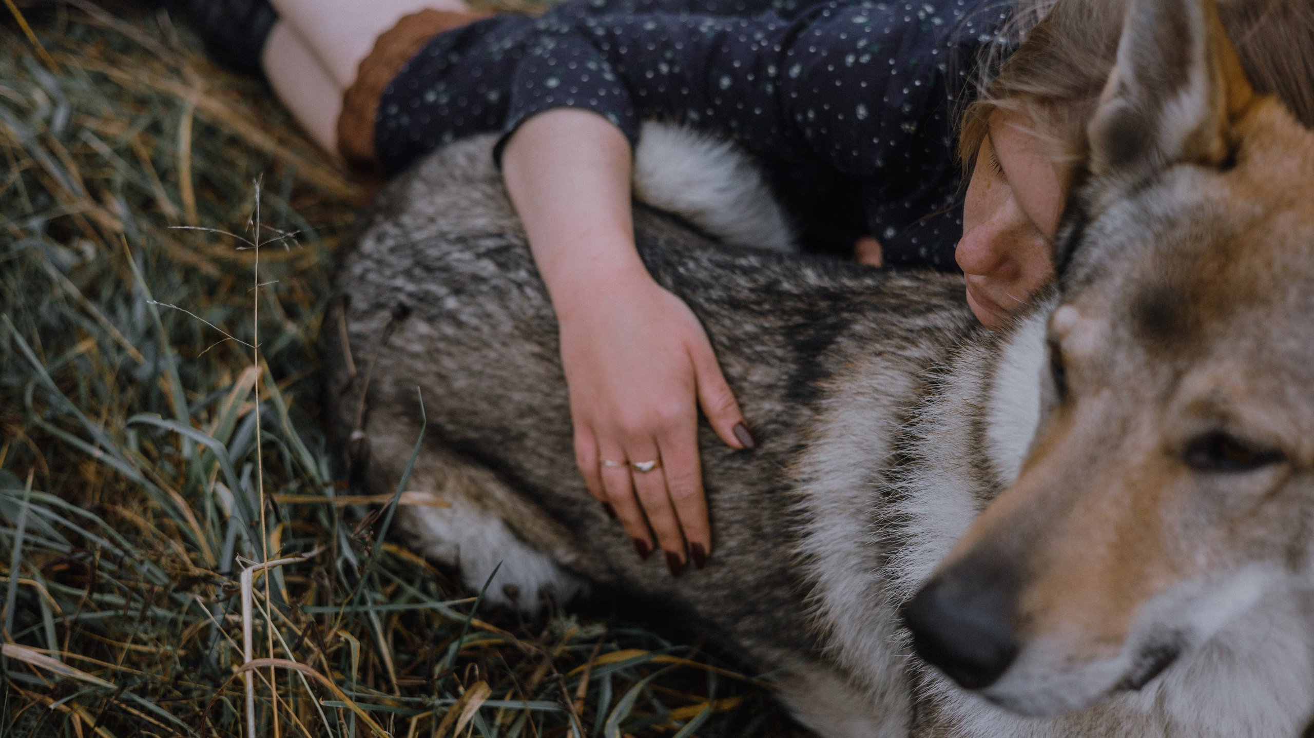 Полина и Вегард. Фотограф-анималист Богданова Полина