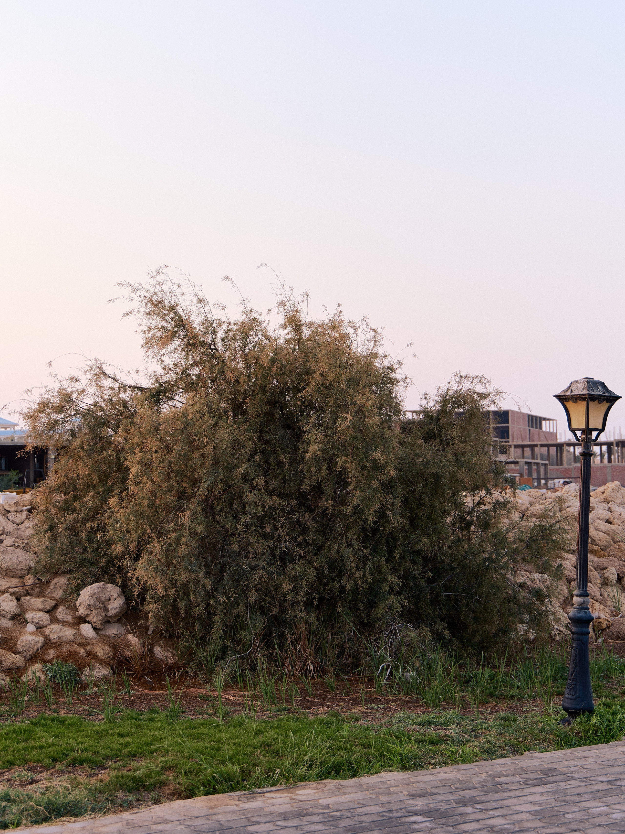 Другое 3. Jorgis — фотограф в Хургаде / обучение фотографии