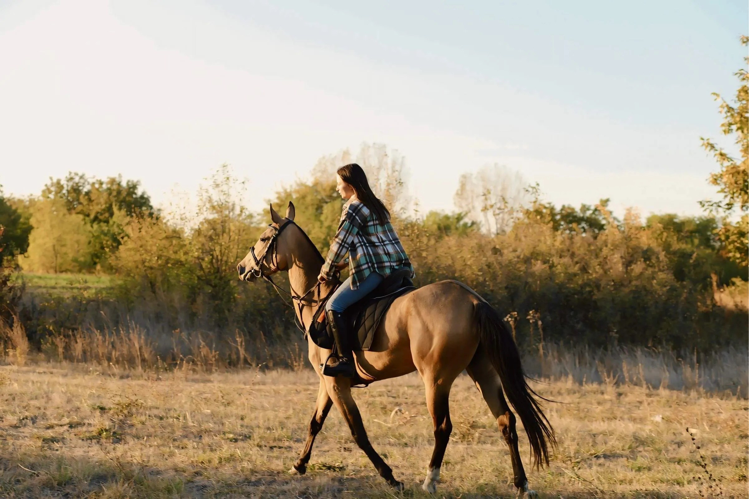 Индивидуальная фотосессия. Семейный и Свадебный фотограф Алиса Малиева
