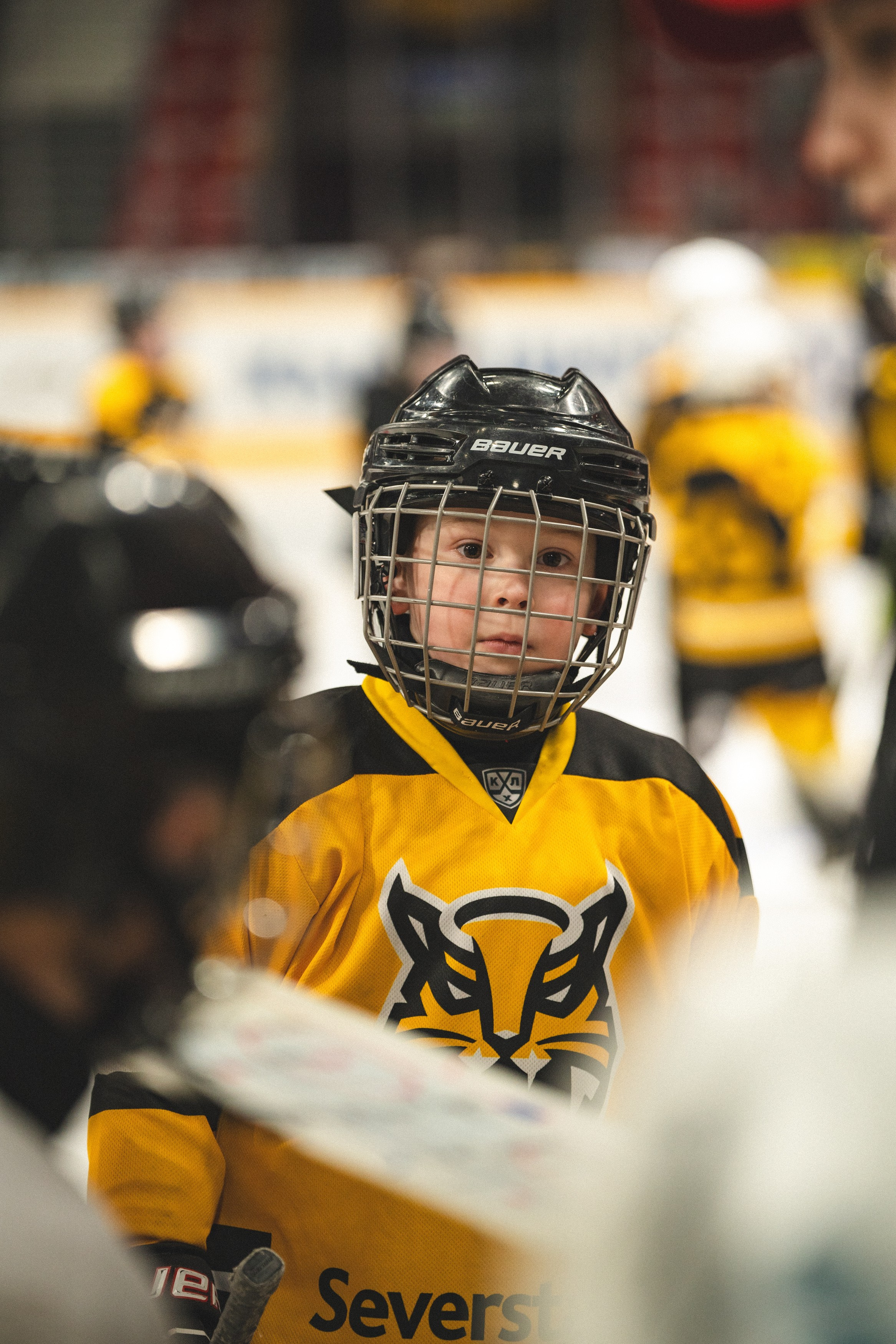 ХК Северсталь (младшая группа). Череповец. Zekons. Фото, видео, нейросети