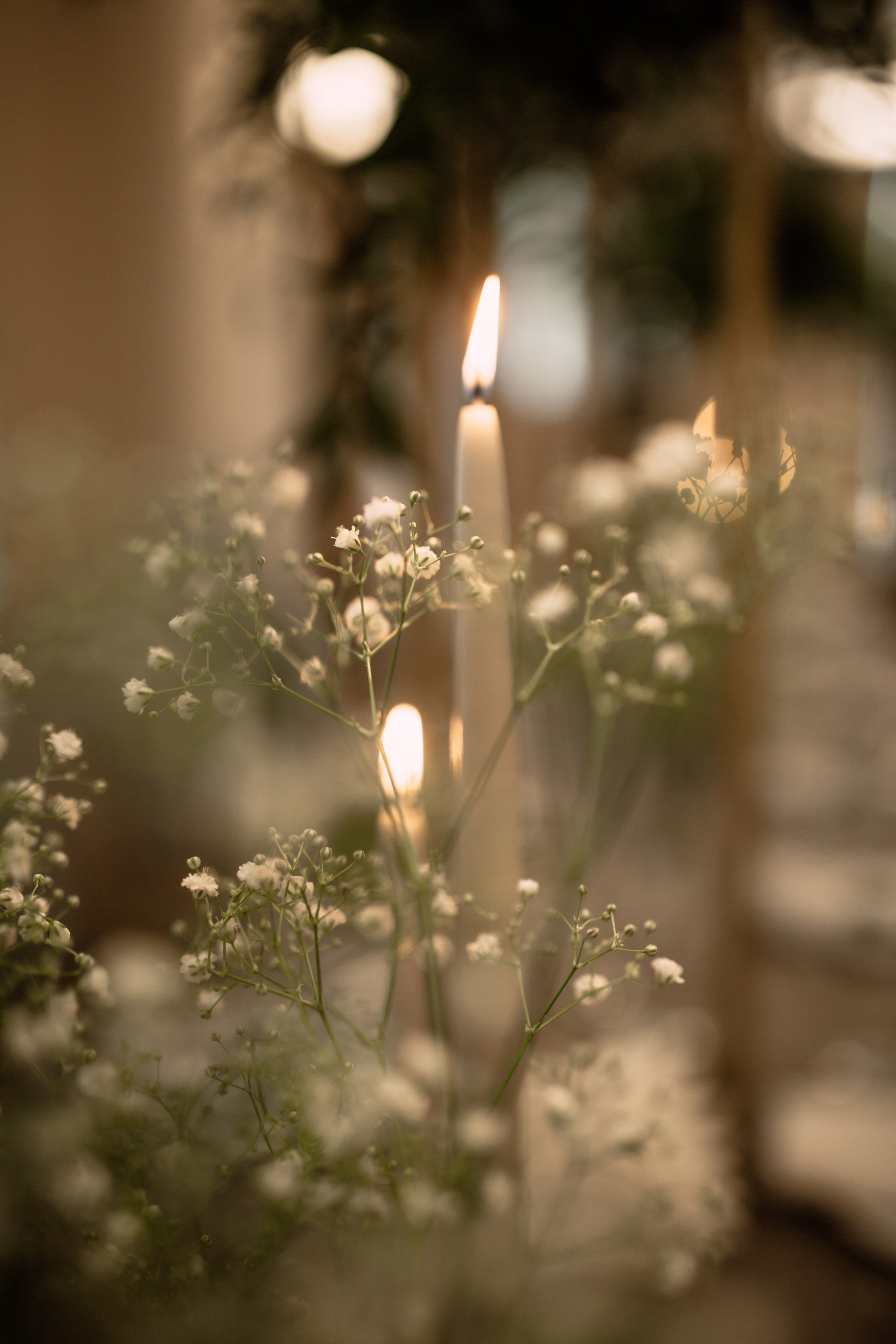 Александр и Александра 2022. Ксения Почтарь. Декоратор и флорист, город Владивосток