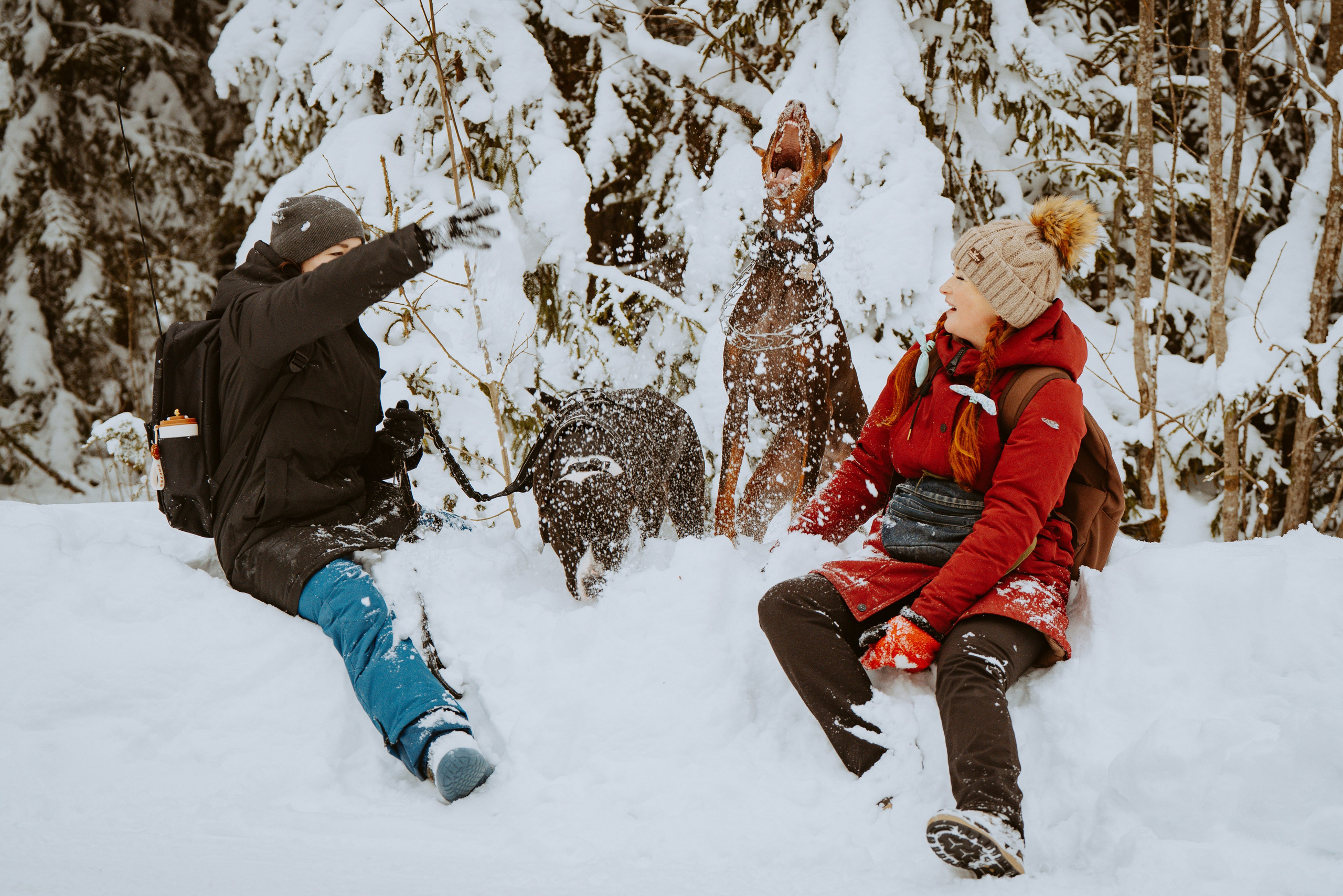 Дог трекинг. Фотограф анималист в Спб недорого Олеся Майорова