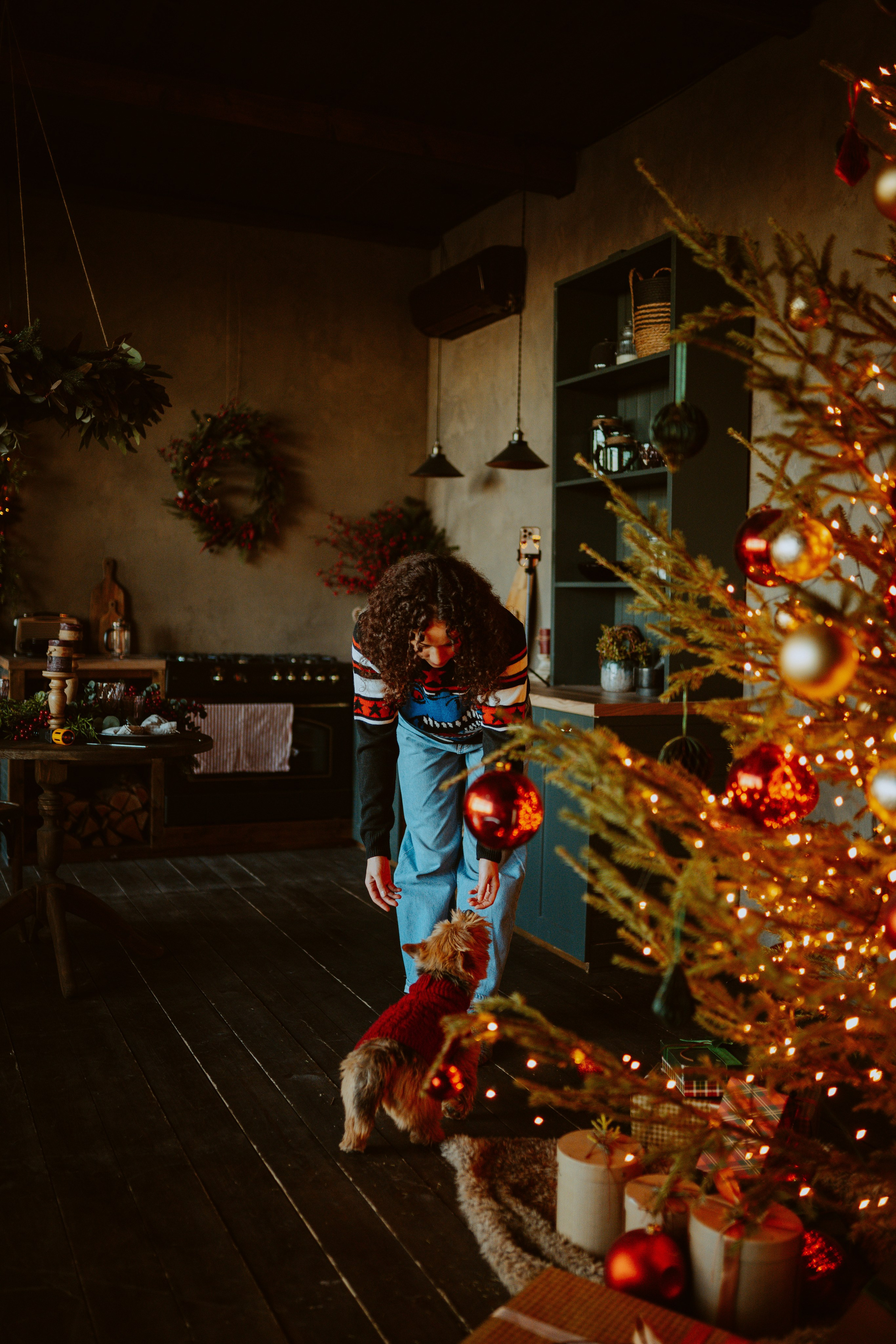 Фотосессия с собакой в студии. Фотограф анималист в Спб недорого Олеся Майорова