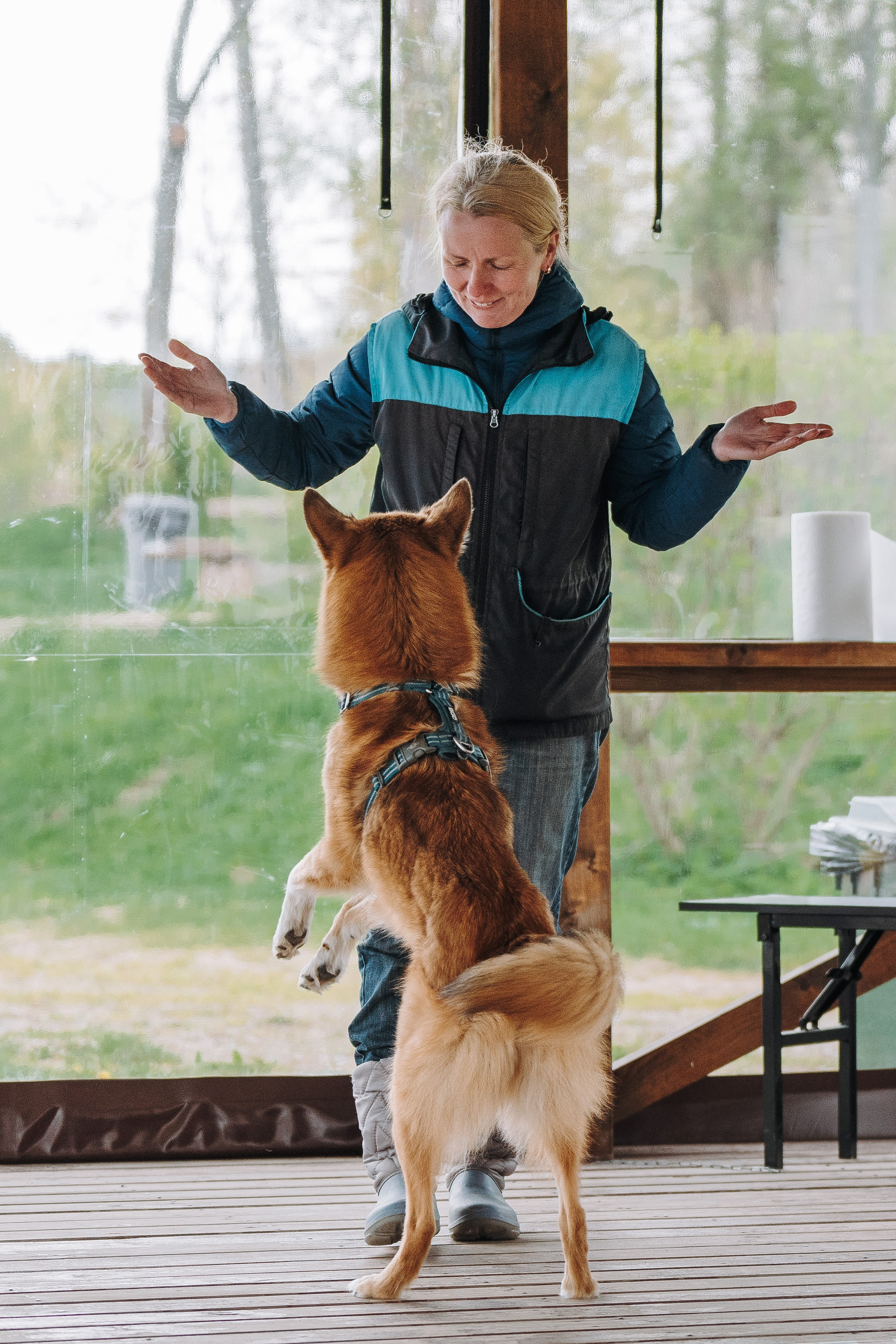 Соревнования по ноузворку в Лосево. Фотограф анималист в Спб недорого Олеся Майорова