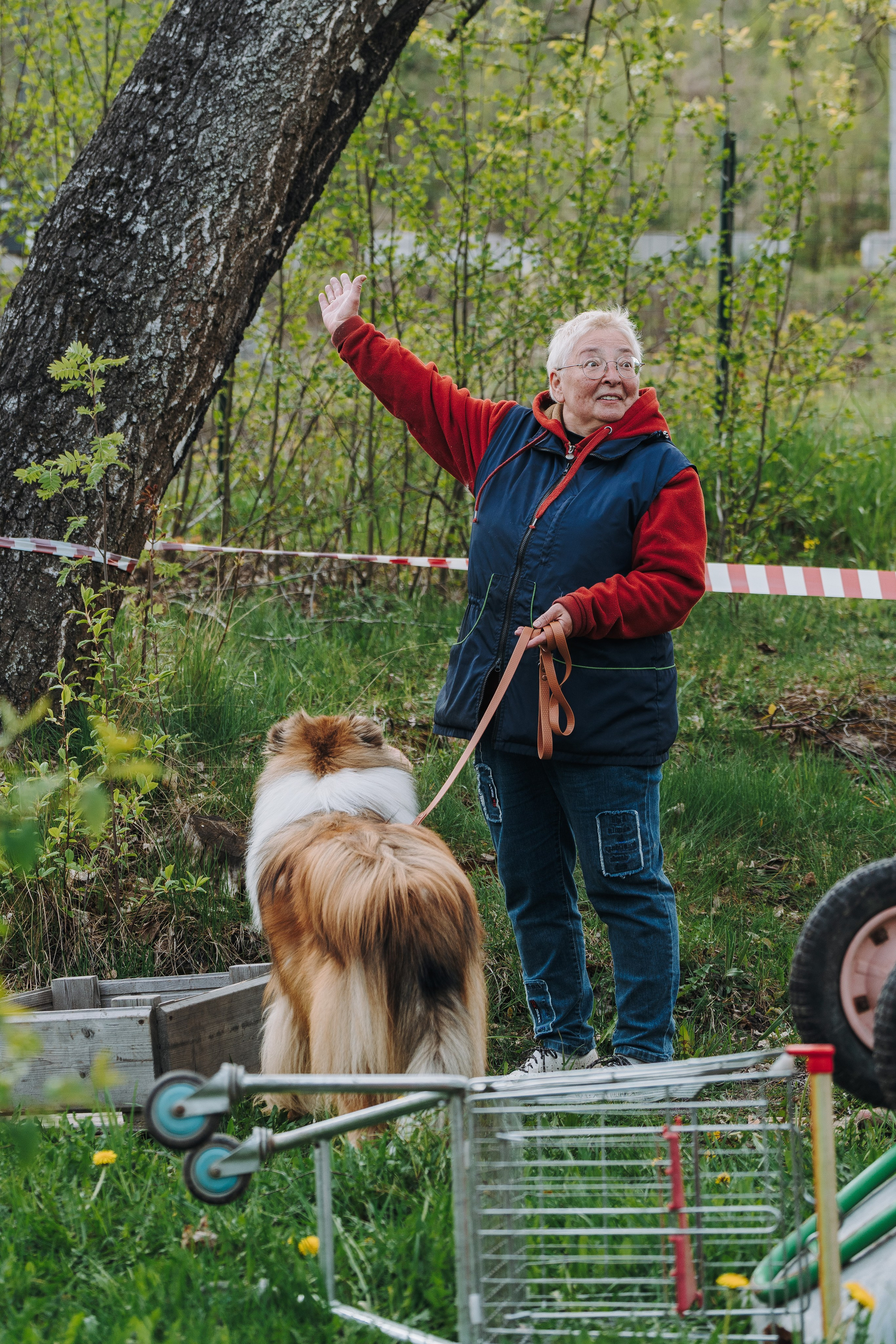 Соревнования по ноузворку в Лосево. Фотограф анималист в Спб недорого Олеся Майорова