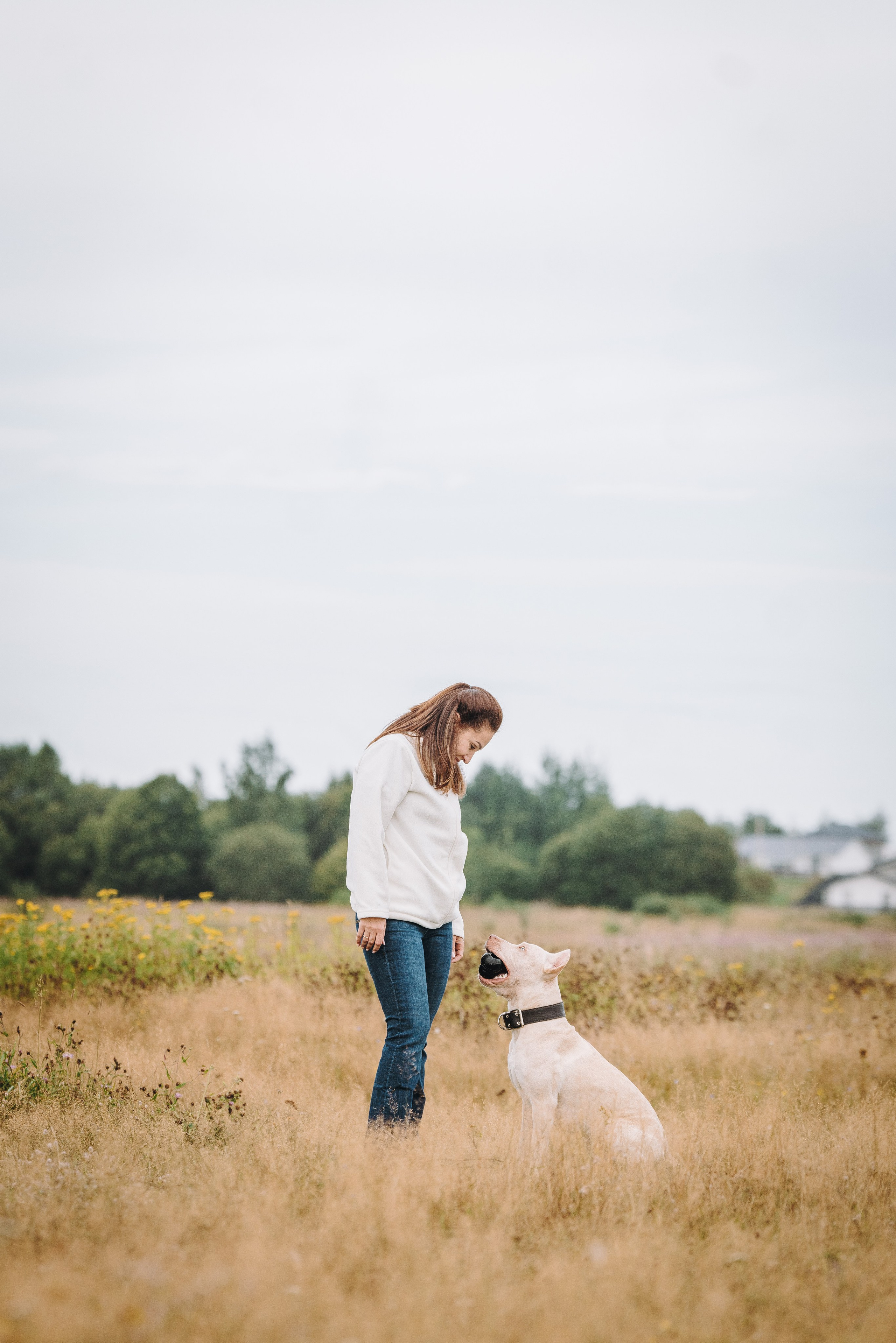 Оля и Гламур. Фотограф анималист в Спб недорого Олеся Майорова