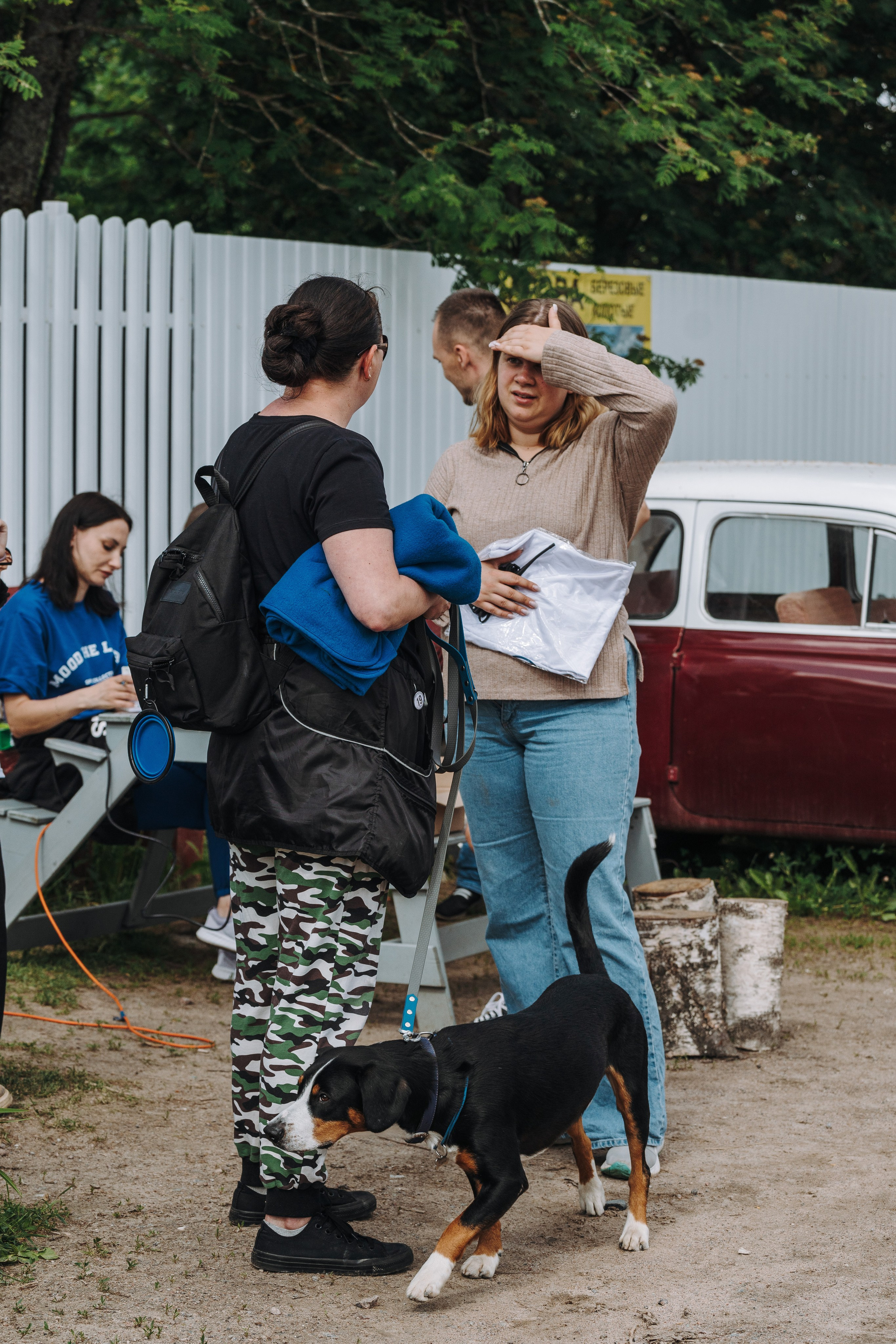 Соревнования по ноузворку. Фотограф анималист в Спб недорого Олеся Майорова