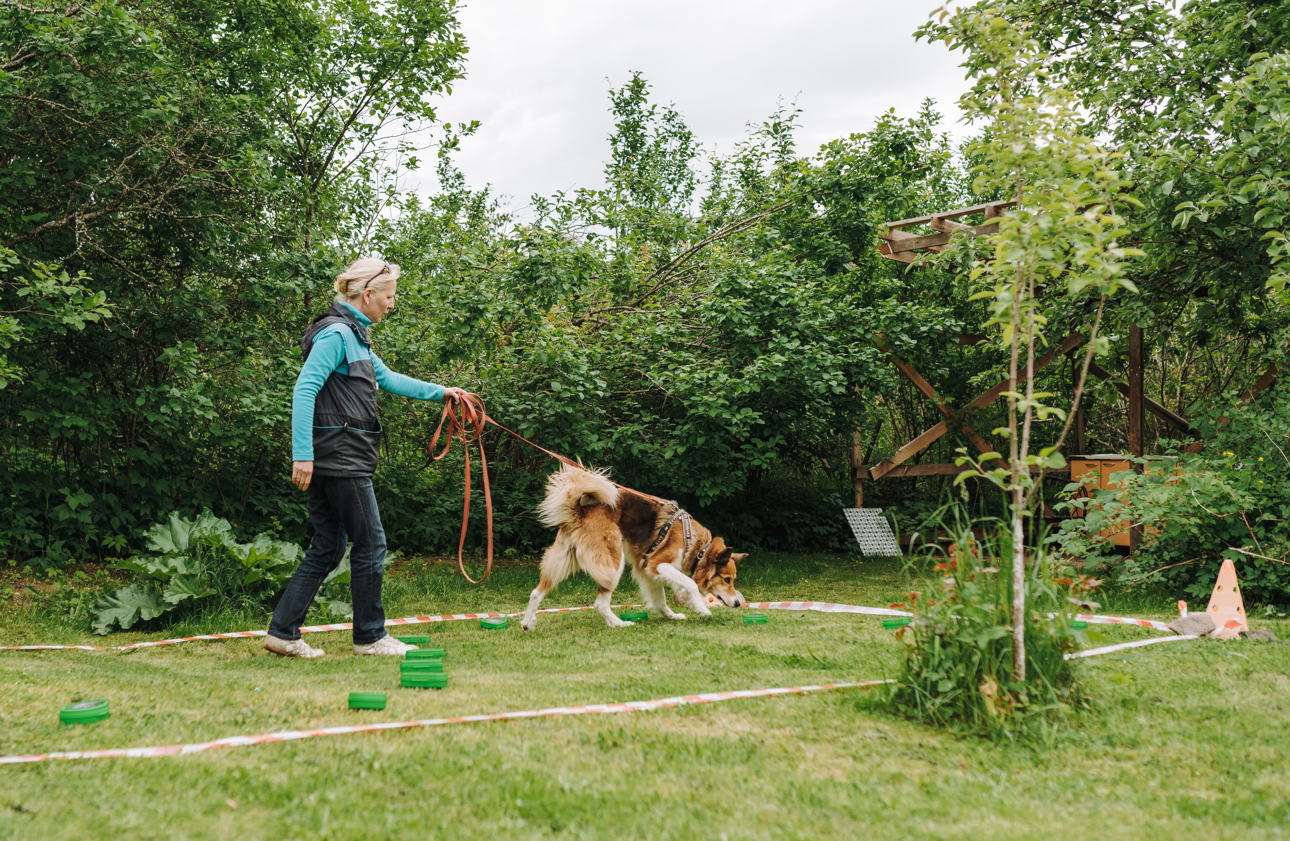 Соревнования по ноузворку. Фотограф анималист в Спб недорого Олеся Майорова