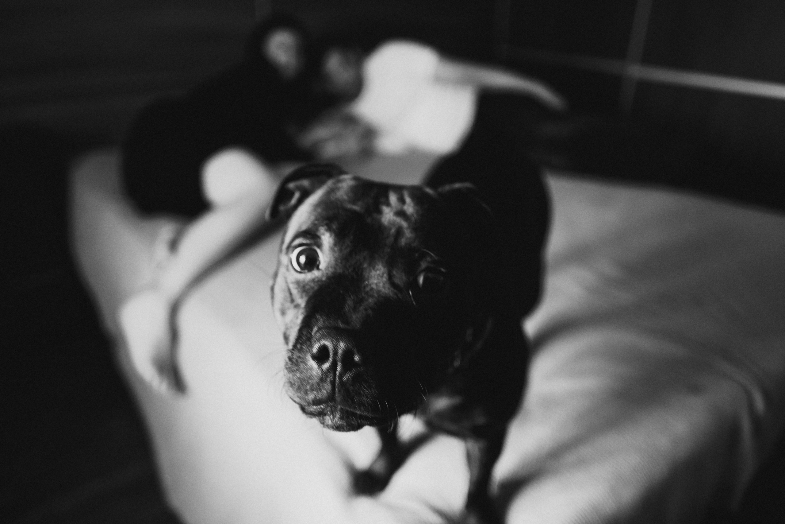 Мария — рождение доченьки. Фотограф Екатерина Боева