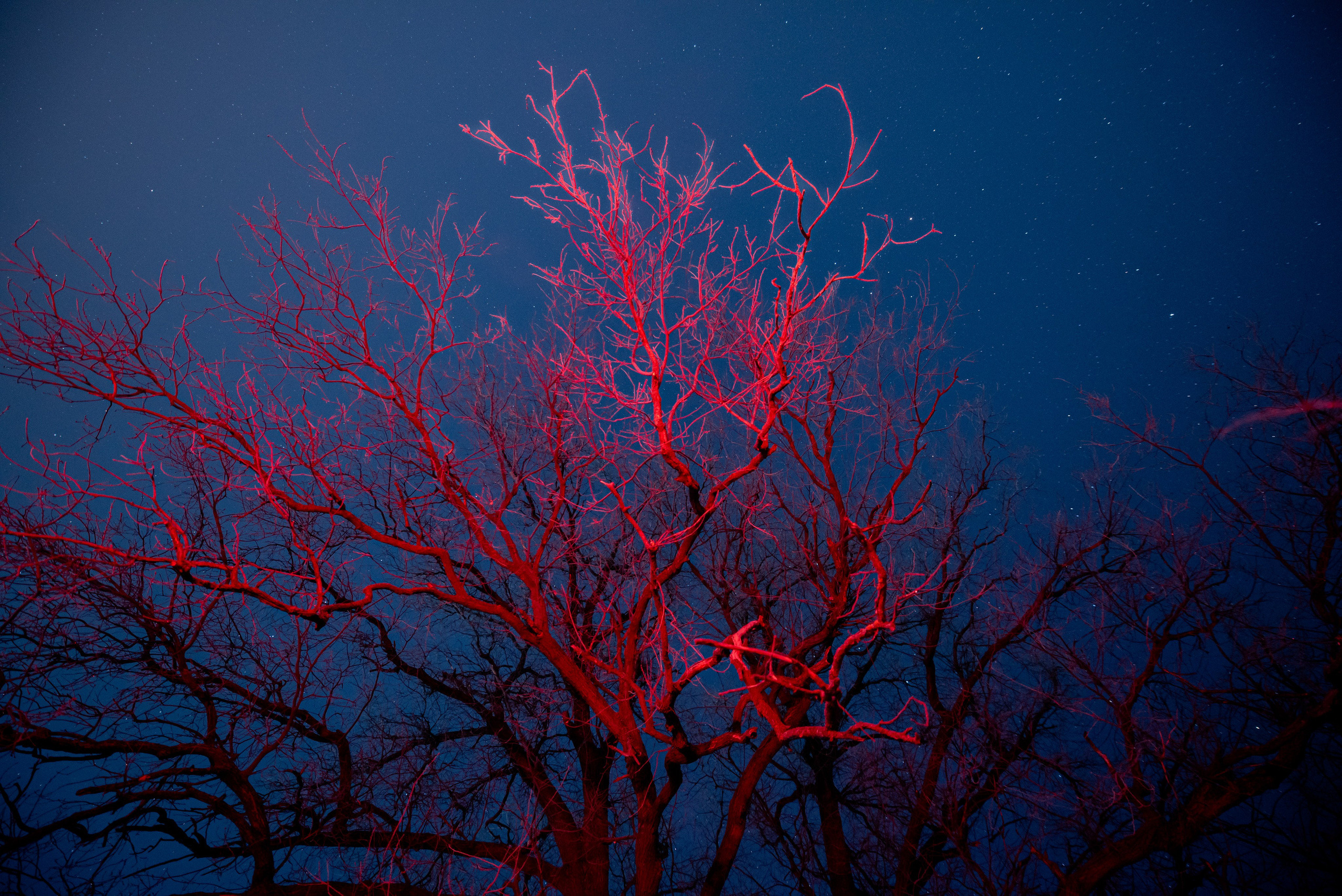 Ночь зимой. Фотограф в Волгограде и Волжском Александр Горбань