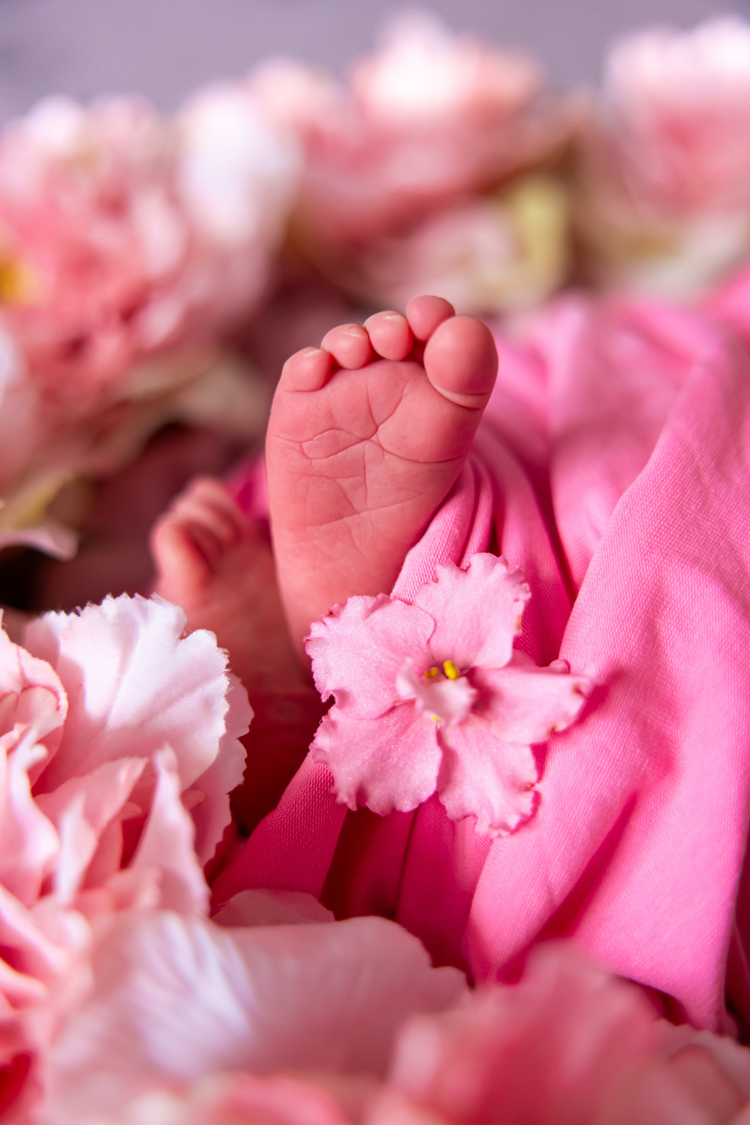 Кира в пионах. Оксана Ромашкина- семейный и ньюборн фотограф из Москвы