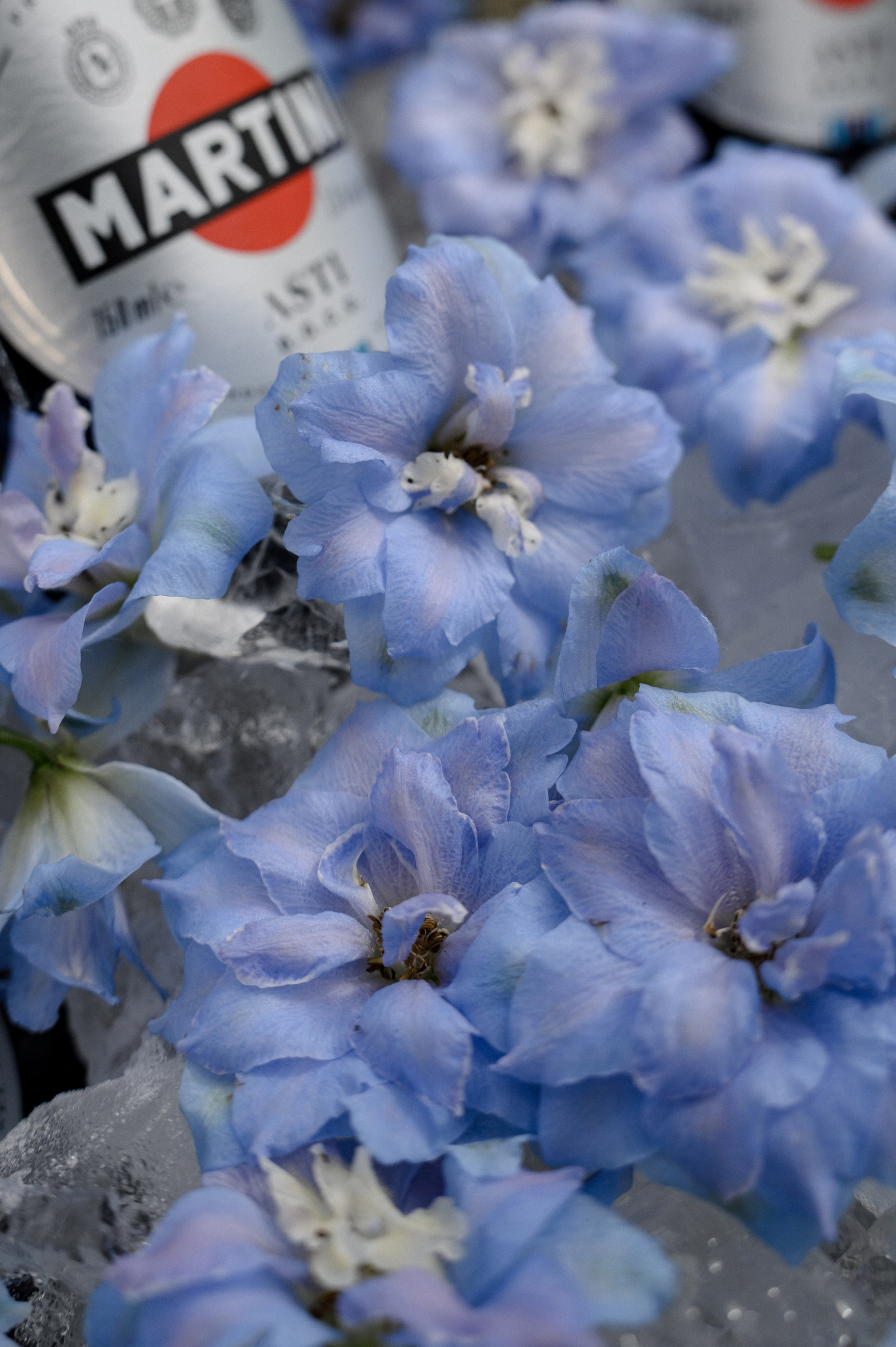 НИКИТА И КАТЯ. Свадебный фотограф Минск