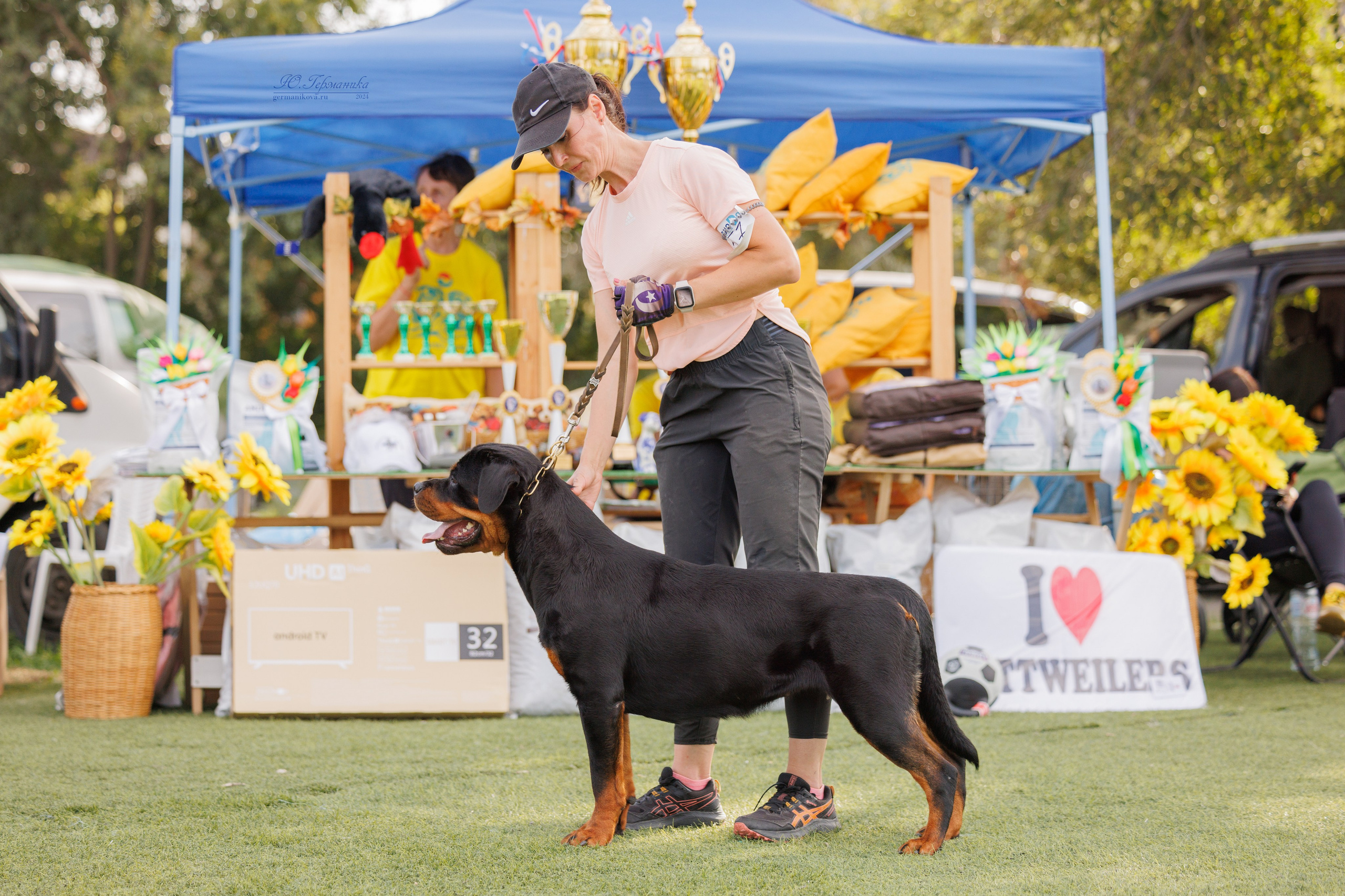 Анапа ротвейлеры 14-15.09.2024. Фотограф-анималист Юлия Германика