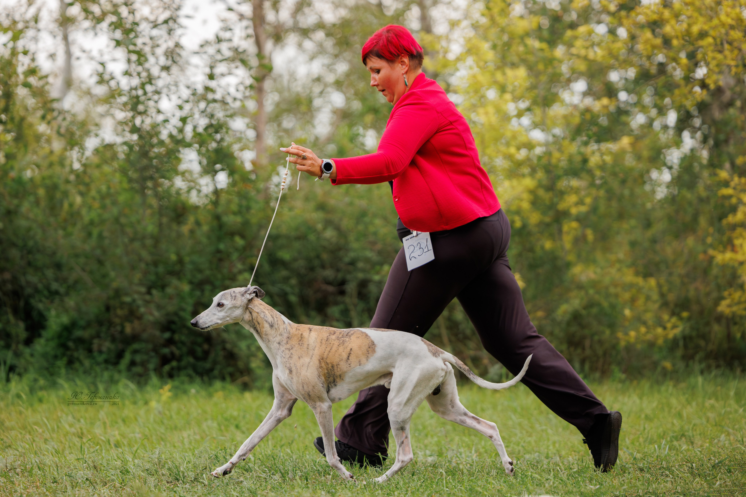 Астана 2хCACIB 17-18.08.2024. Фотограф-анималист Юлия Германика