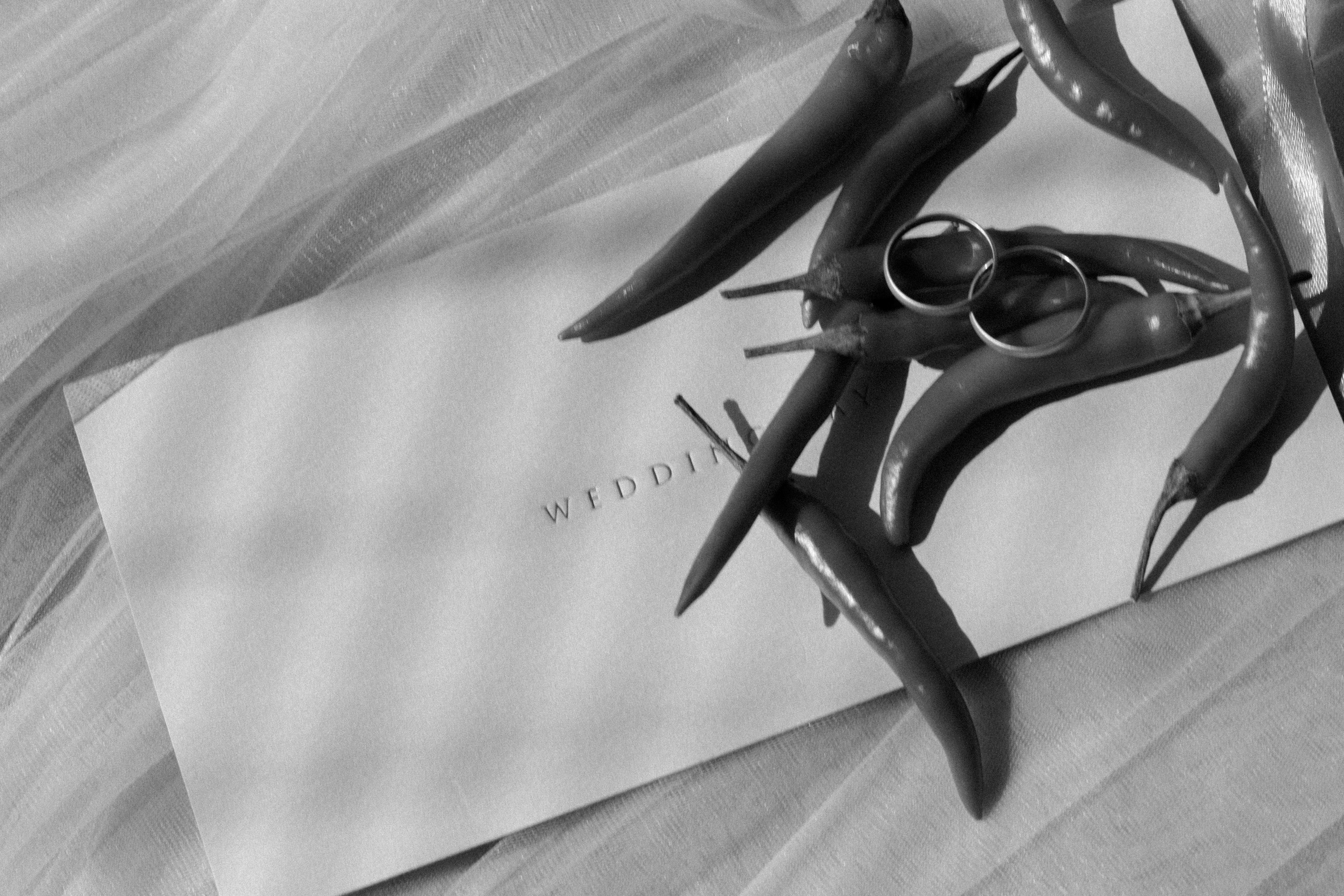 Станислав & Дарья