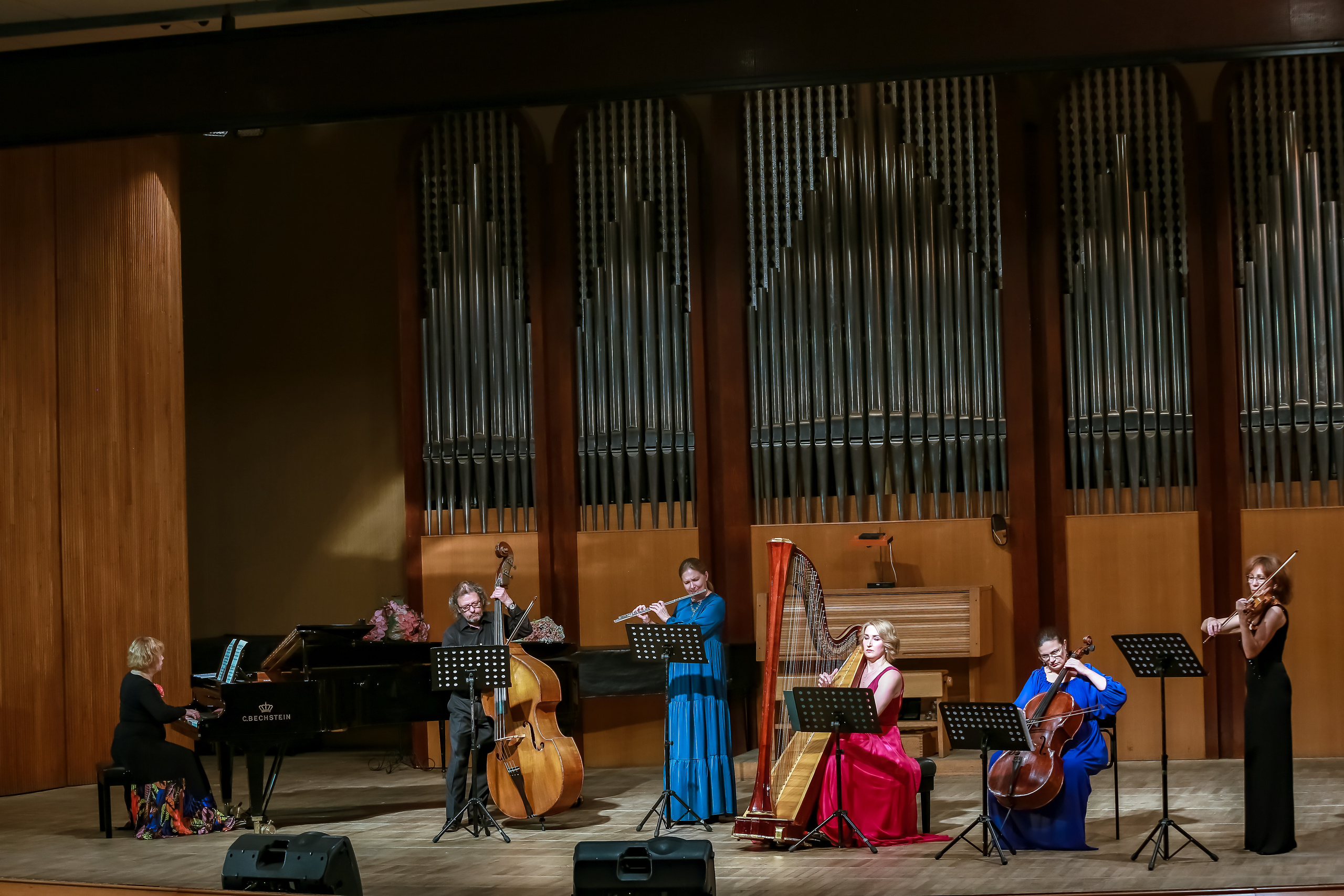 Арфа в ансамбле. Фотограф в Сочи Юрий Шептаев