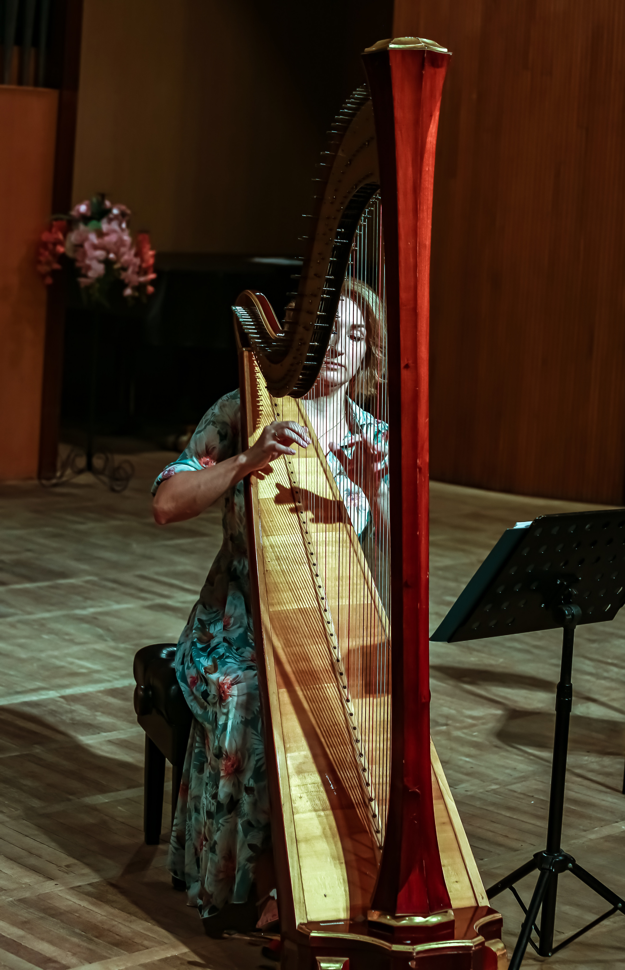 Арфа в ансамбле. Фотограф в Сочи Юрий Шептаев