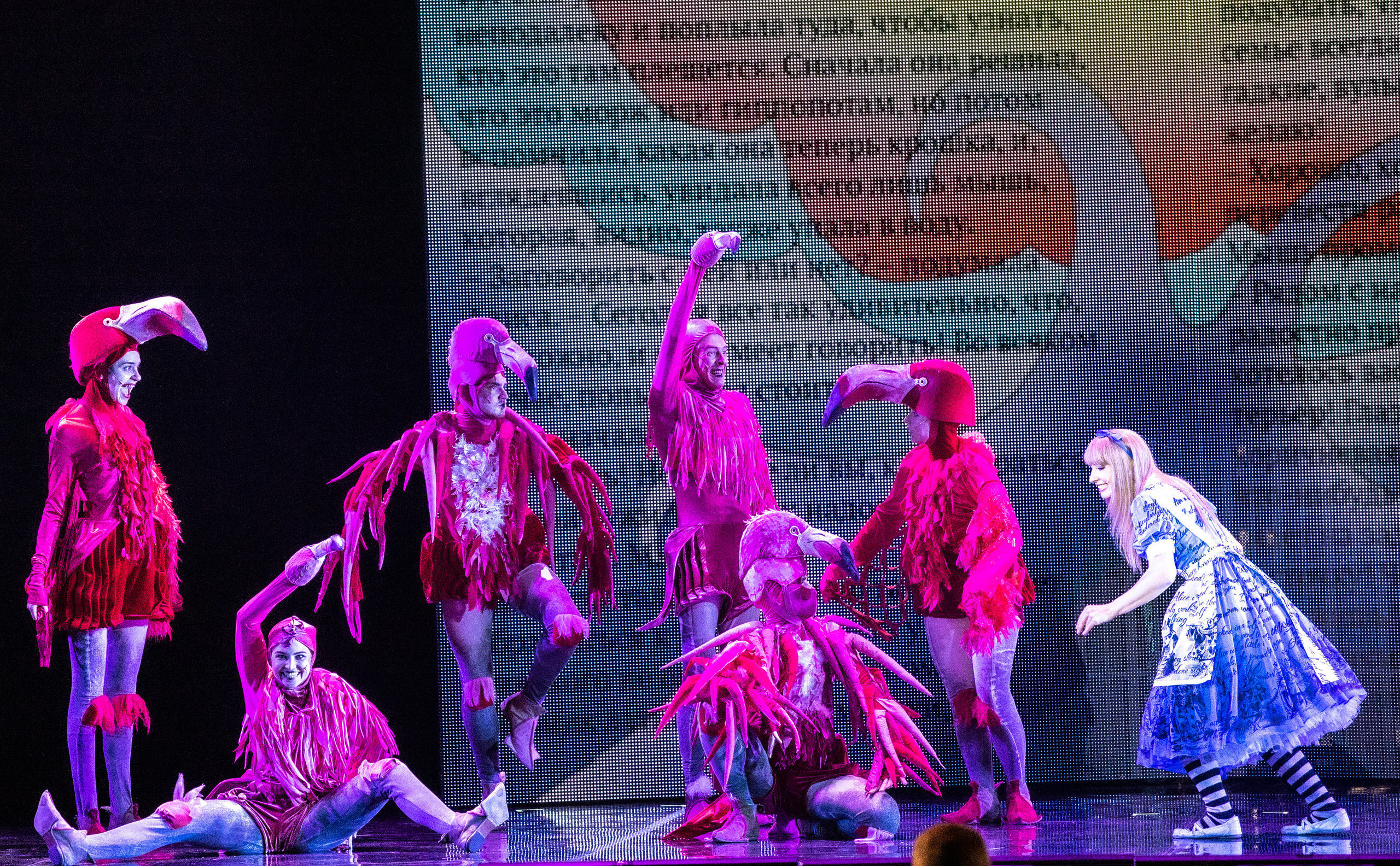 Чудеса и Куралесы мюзикл Московского театра мюзикла. Фотограф в Сочи Юрий Шептаев