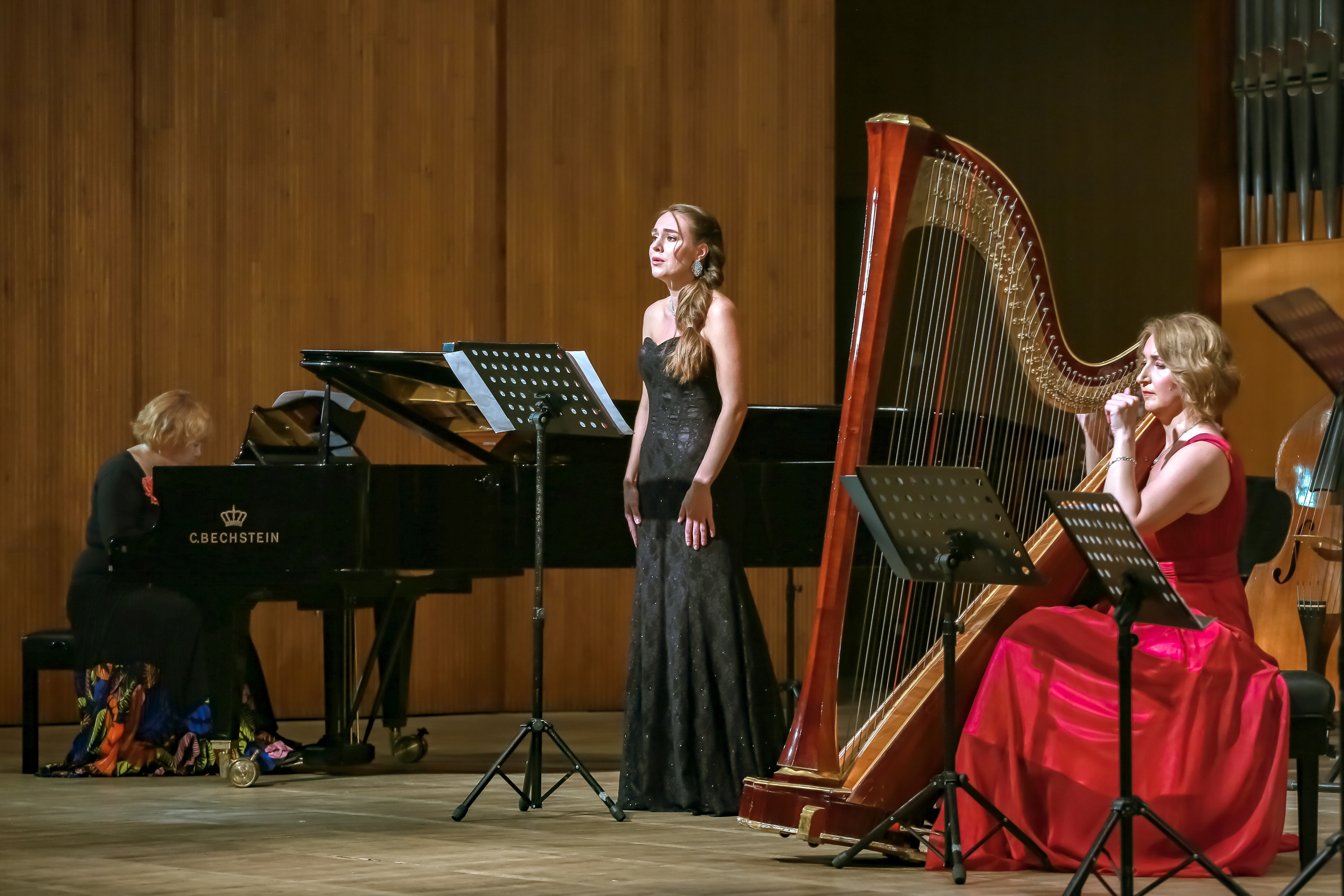 Арфа в ансамбле. Фотограф в Сочи Юрий Шептаев