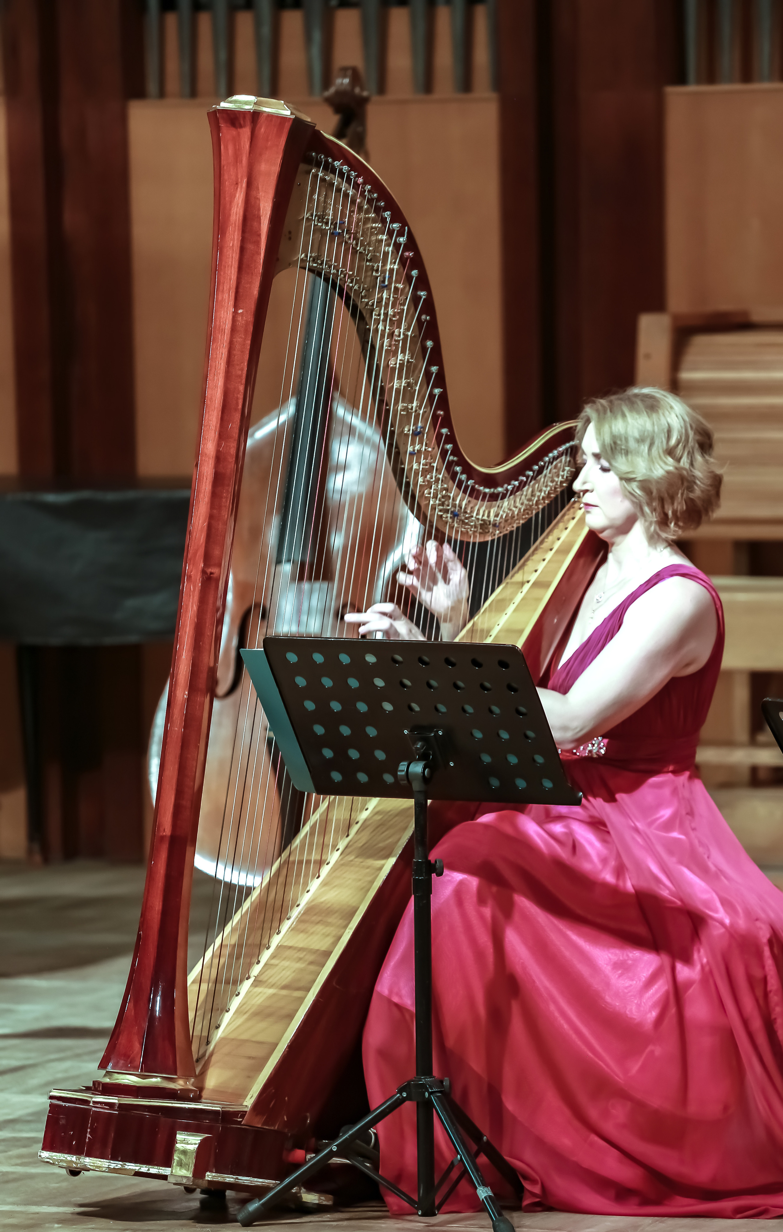 Арфа в ансамбле. Фотограф в Сочи Юрий Шептаев