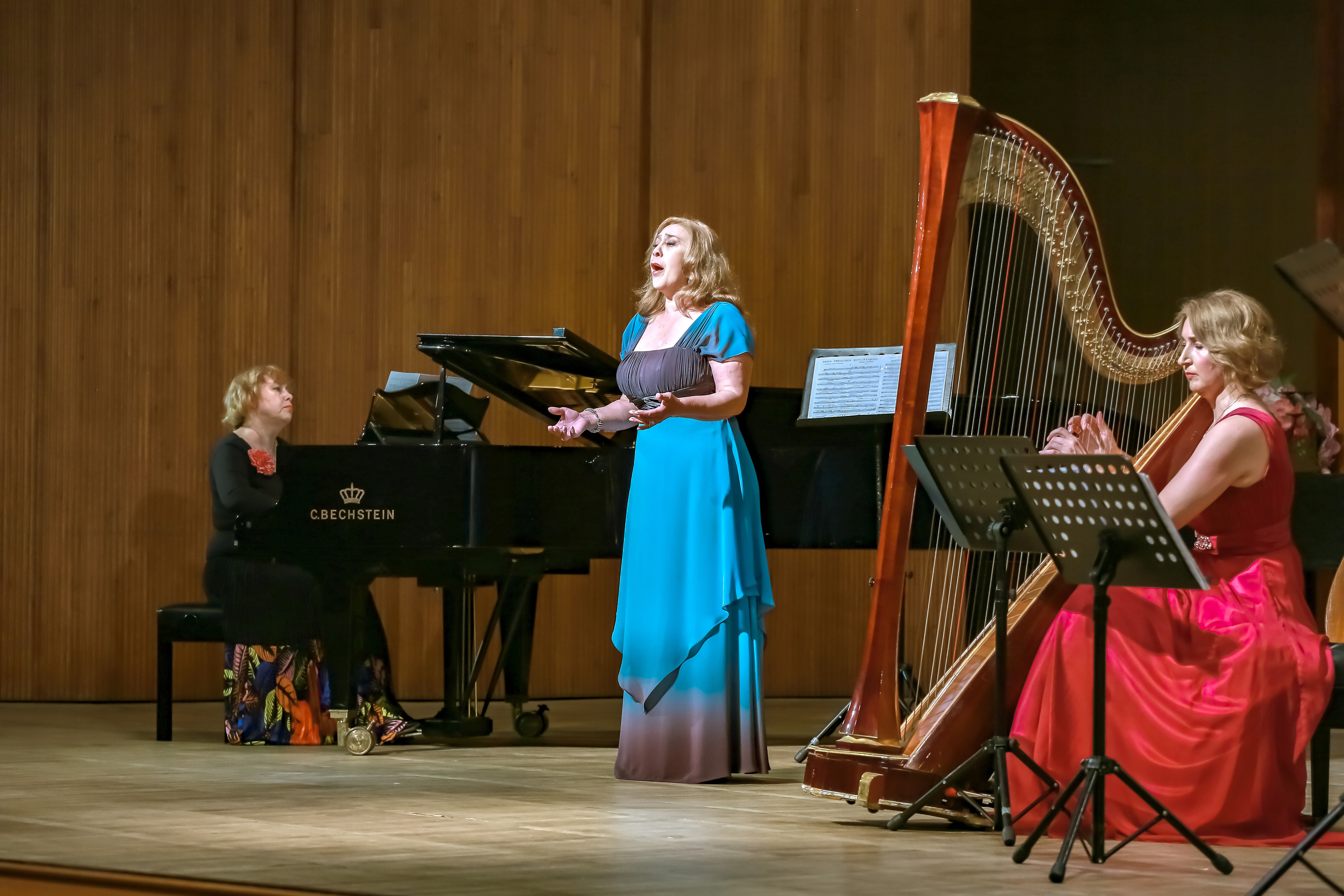 Арфа в ансамбле. Фотограф в Сочи Юрий Шептаев