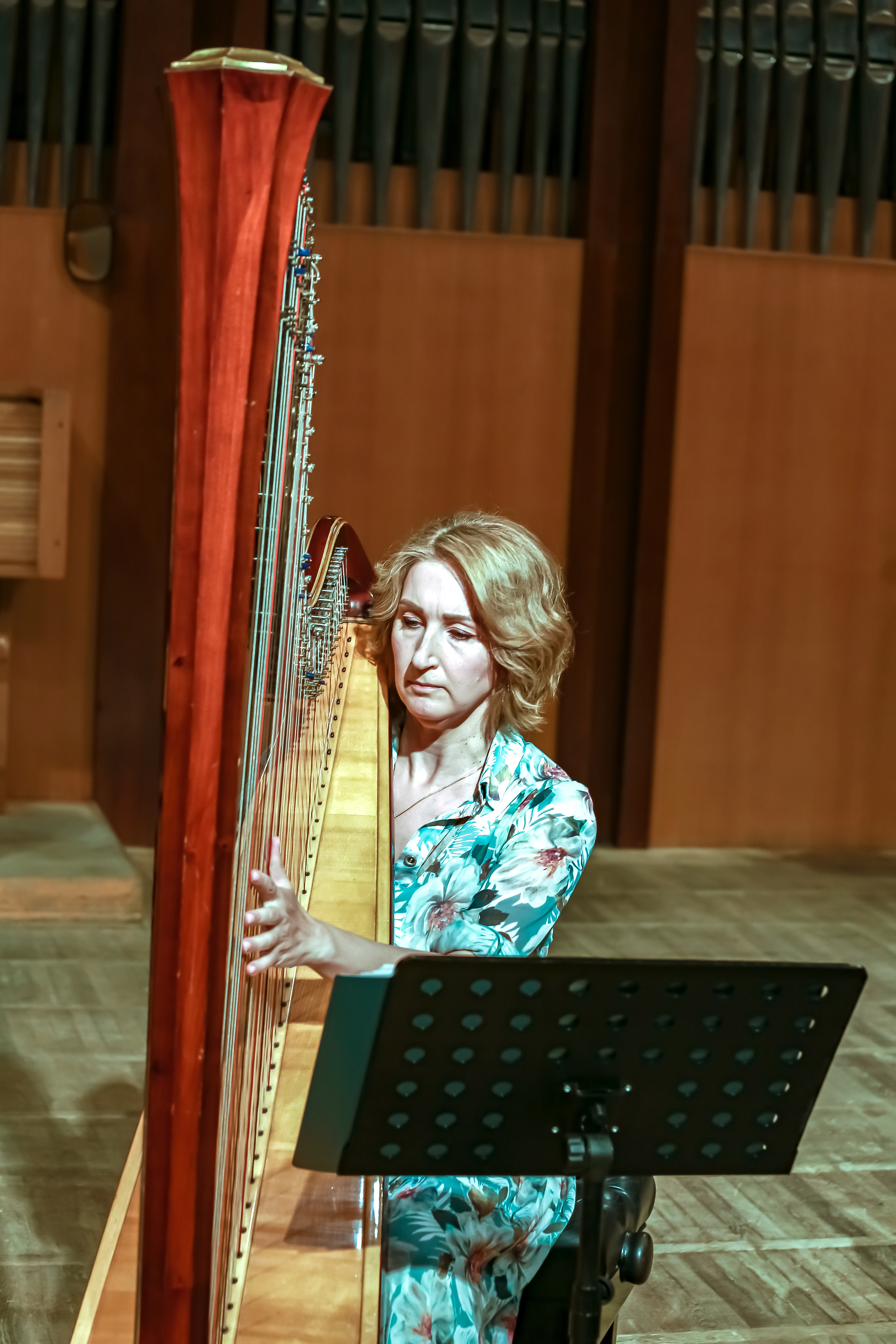 Арфа в ансамбле. Фотограф в Сочи Юрий Шептаев