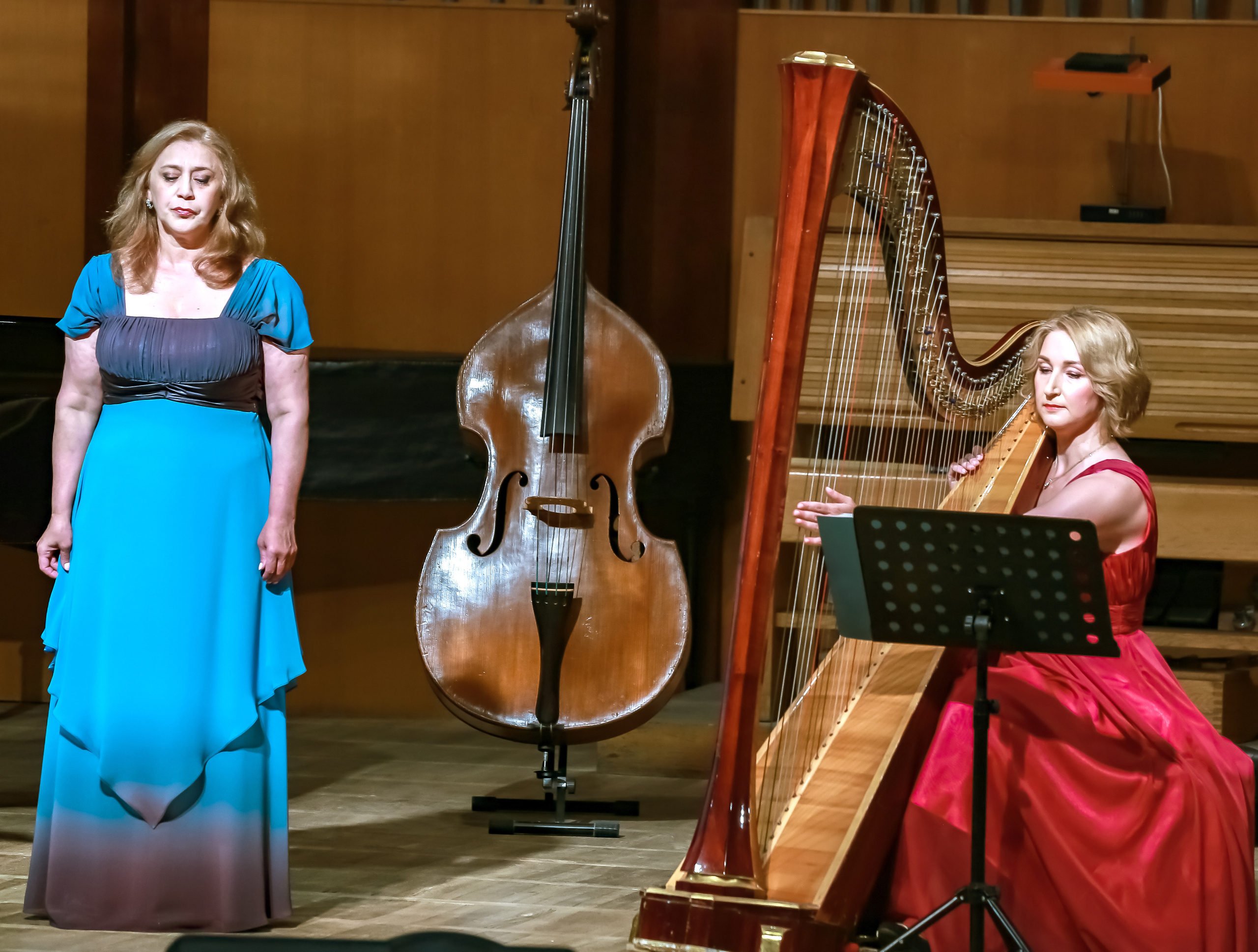 Арфа в ансамбле. Фотограф в Сочи Юрий Шептаев