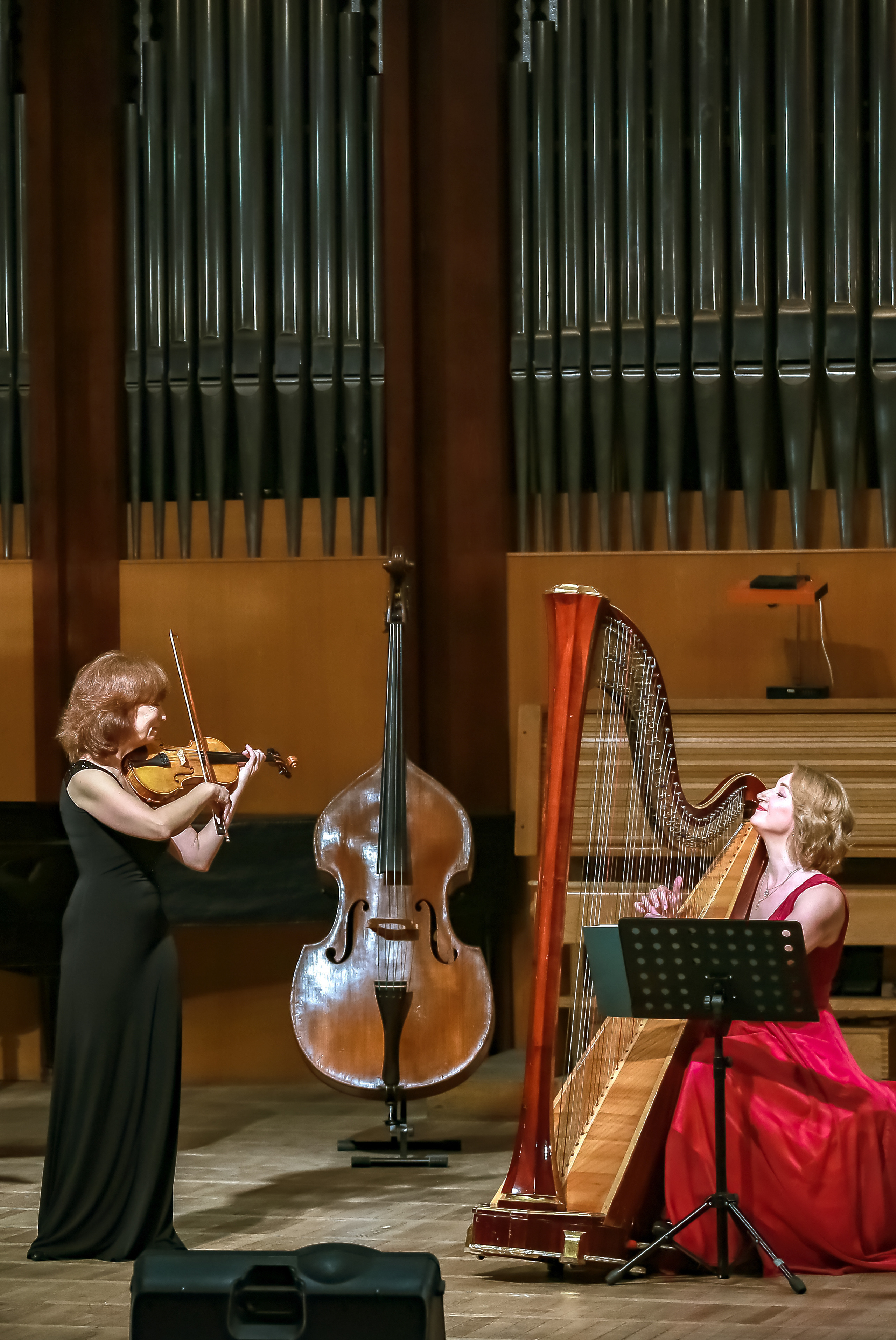 Арфа в ансамбле. Фотограф в Сочи Юрий Шептаев