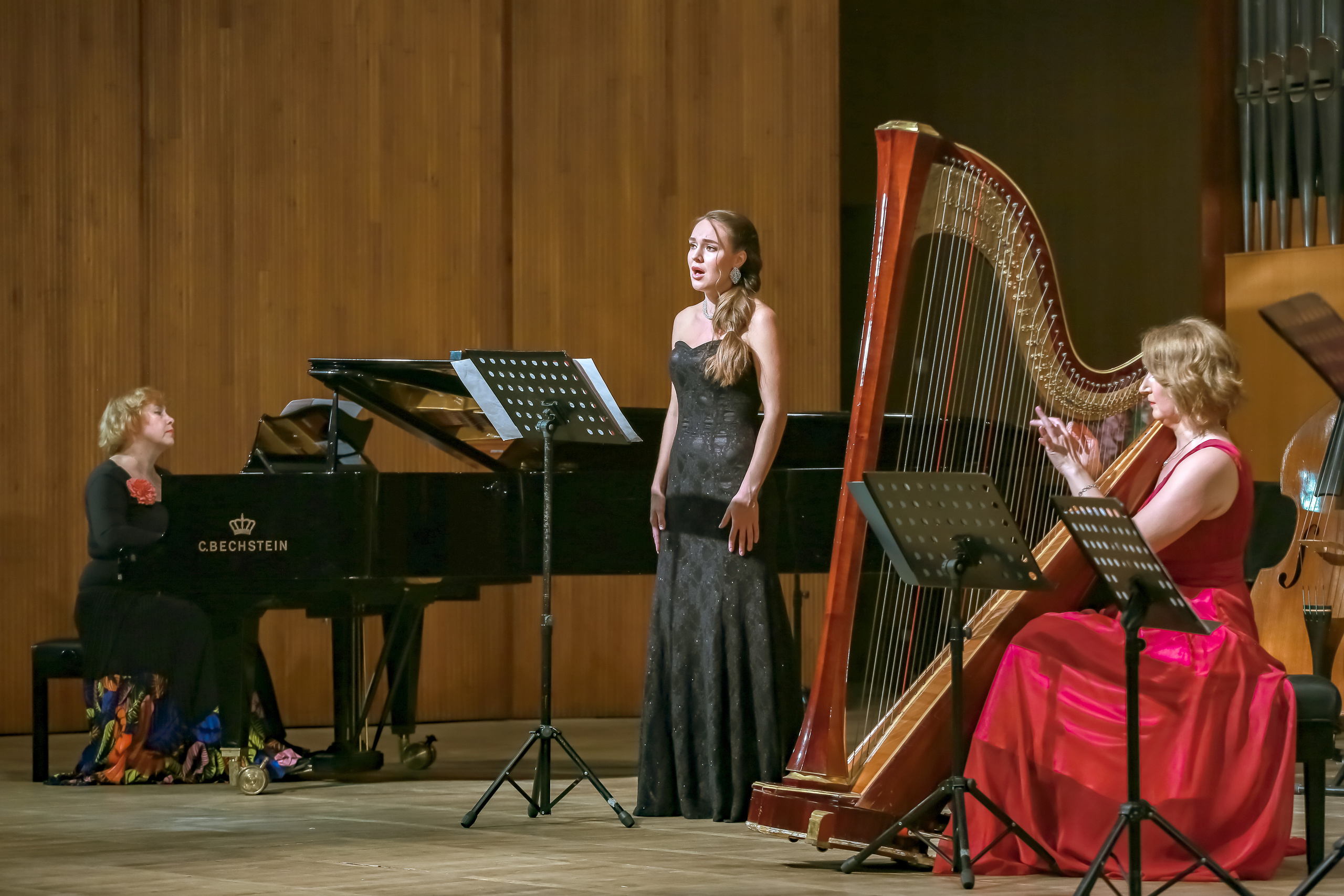 Арфа в ансамбле. Фотограф в Сочи Юрий Шептаев