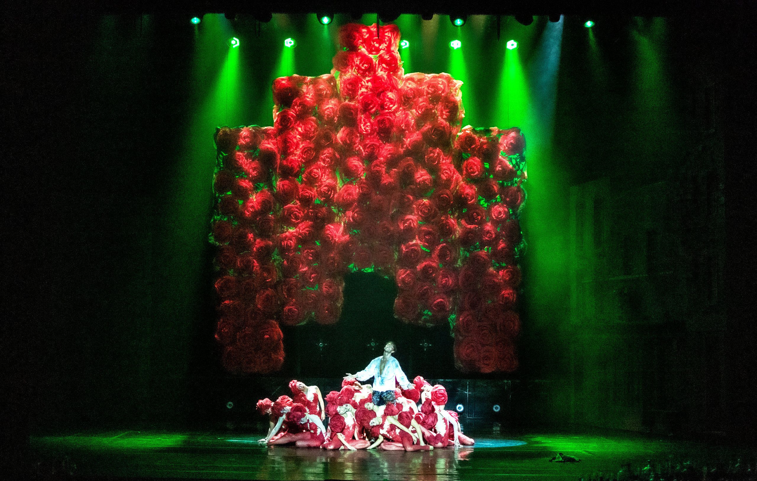 Парфюмер хореографический спектакль театр Европа на сцене Зимнего. Фотограф в Сочи Юрий Шептаев