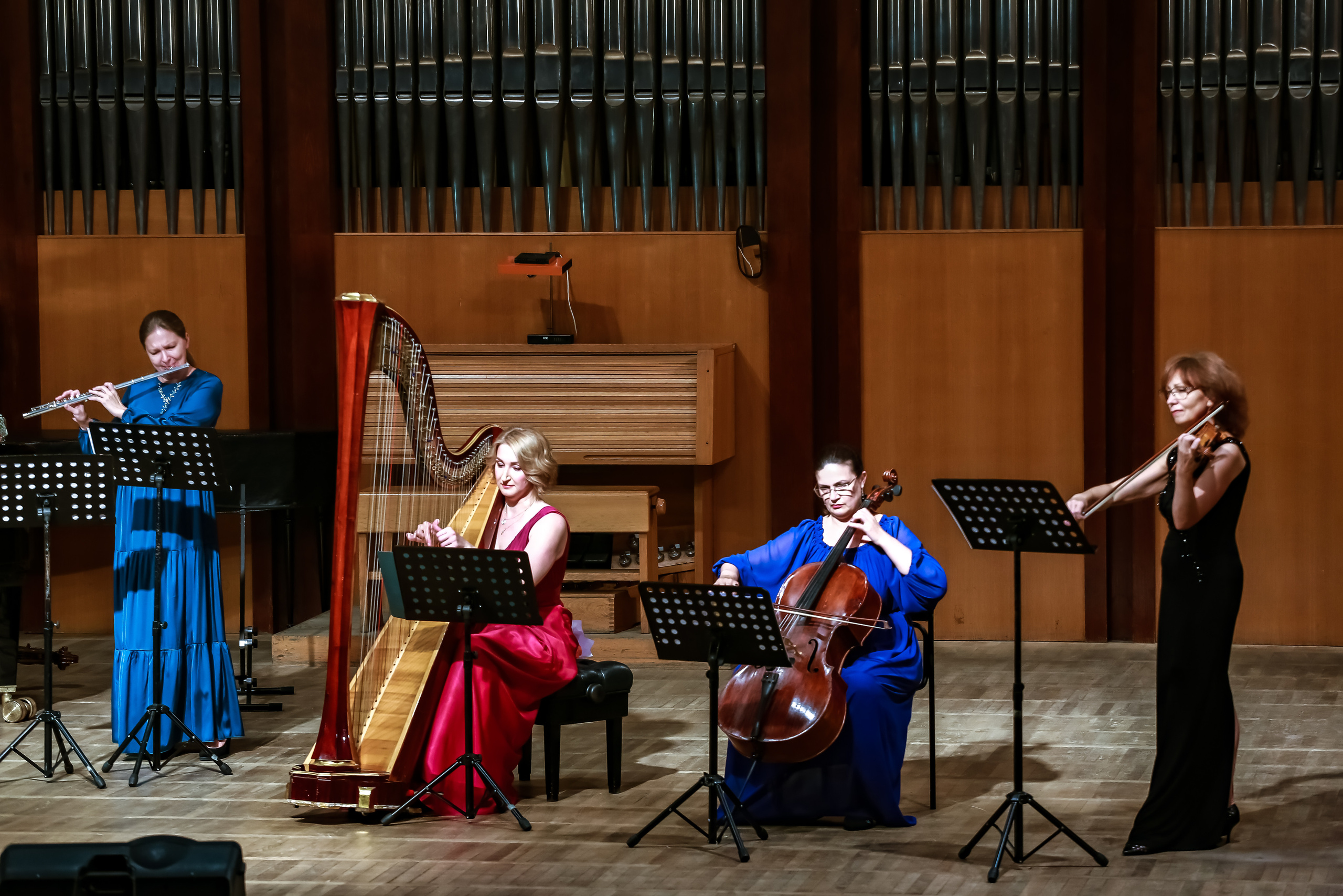 Арфа в ансамбле. Фотограф в Сочи Юрий Шептаев
